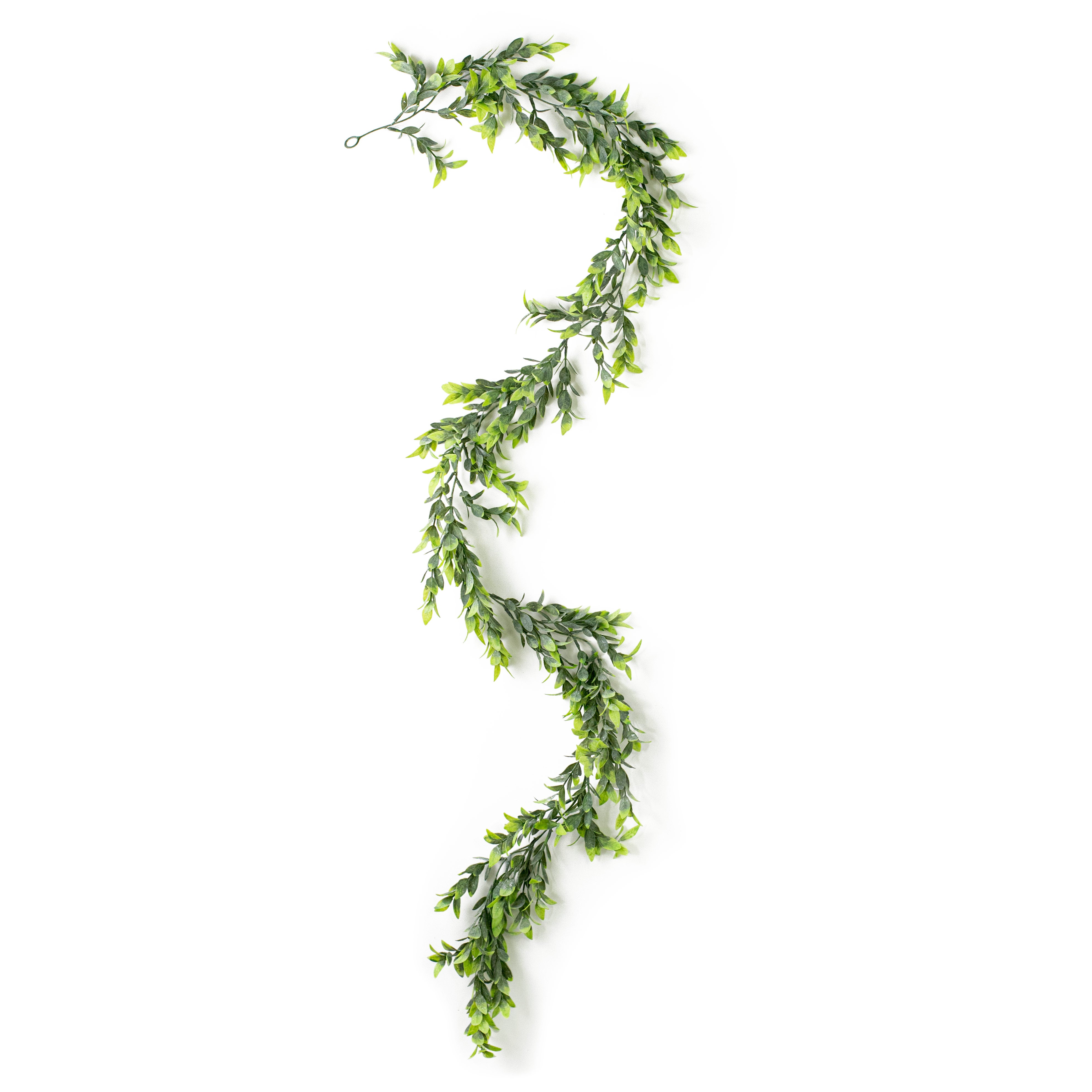 6' Ruscus Foliage Garland detail photo 4