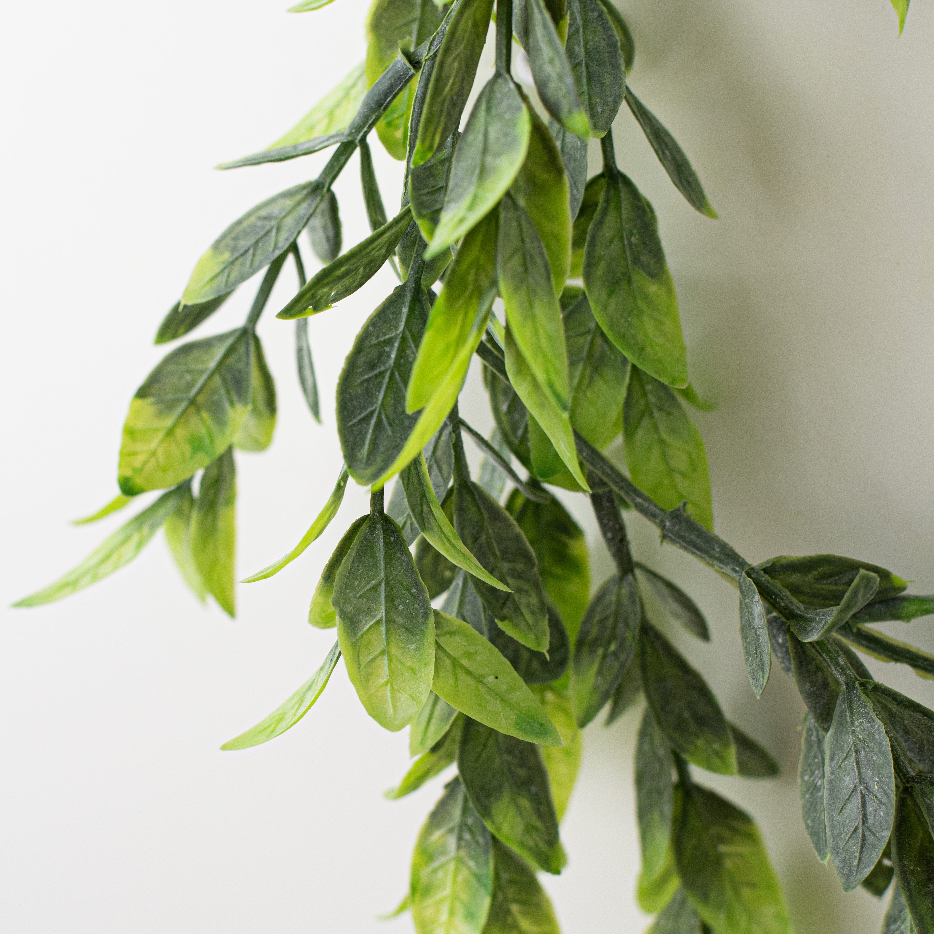 6' Ruscus Foliage Garland detail photo 5