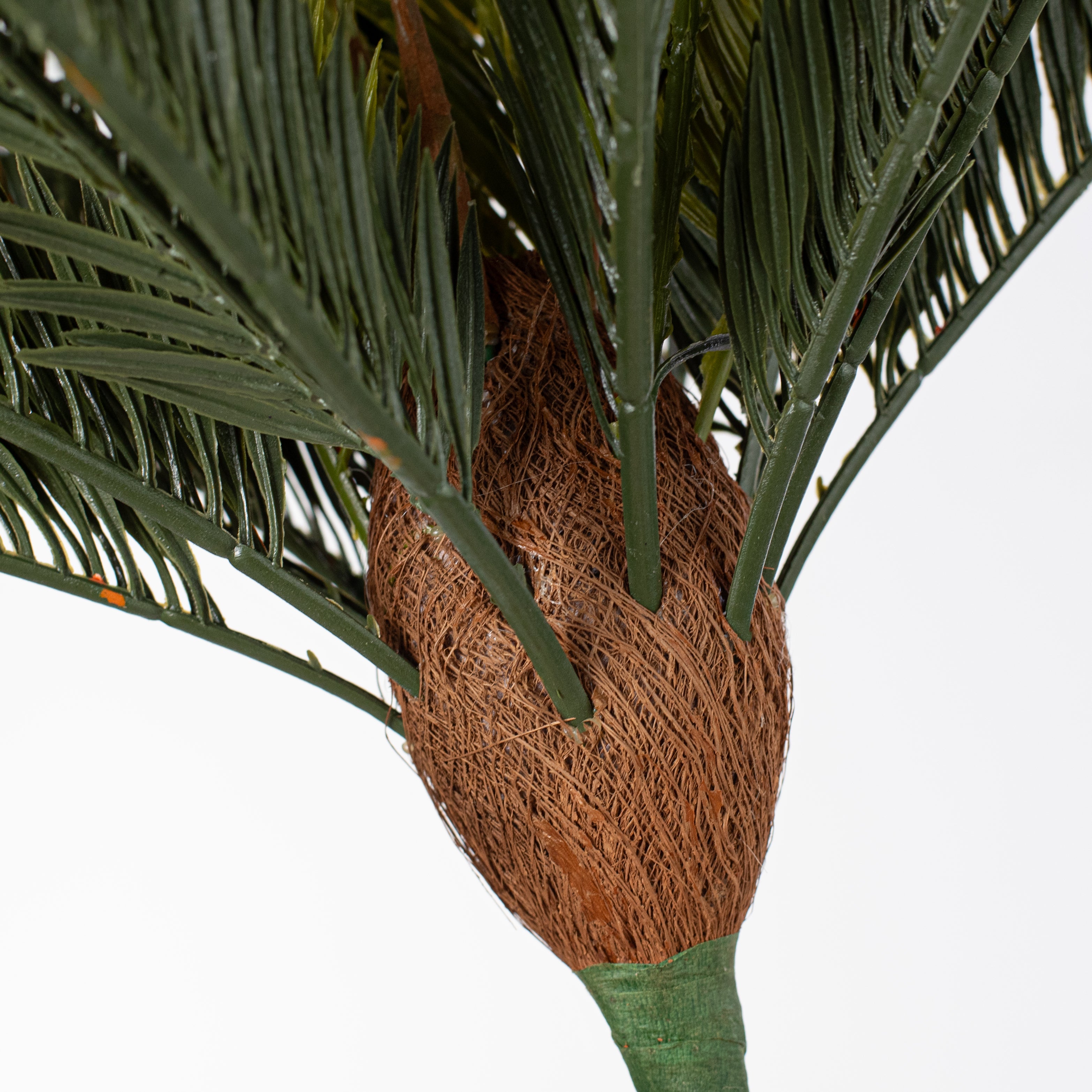 16" Sago Palm Cycas Bush (21 Stem) detail photo 4