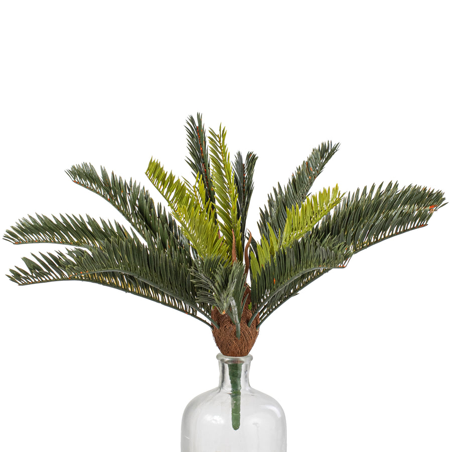 16" Sago Palm Cycas Bush (21 Stem) Item Number: 56961