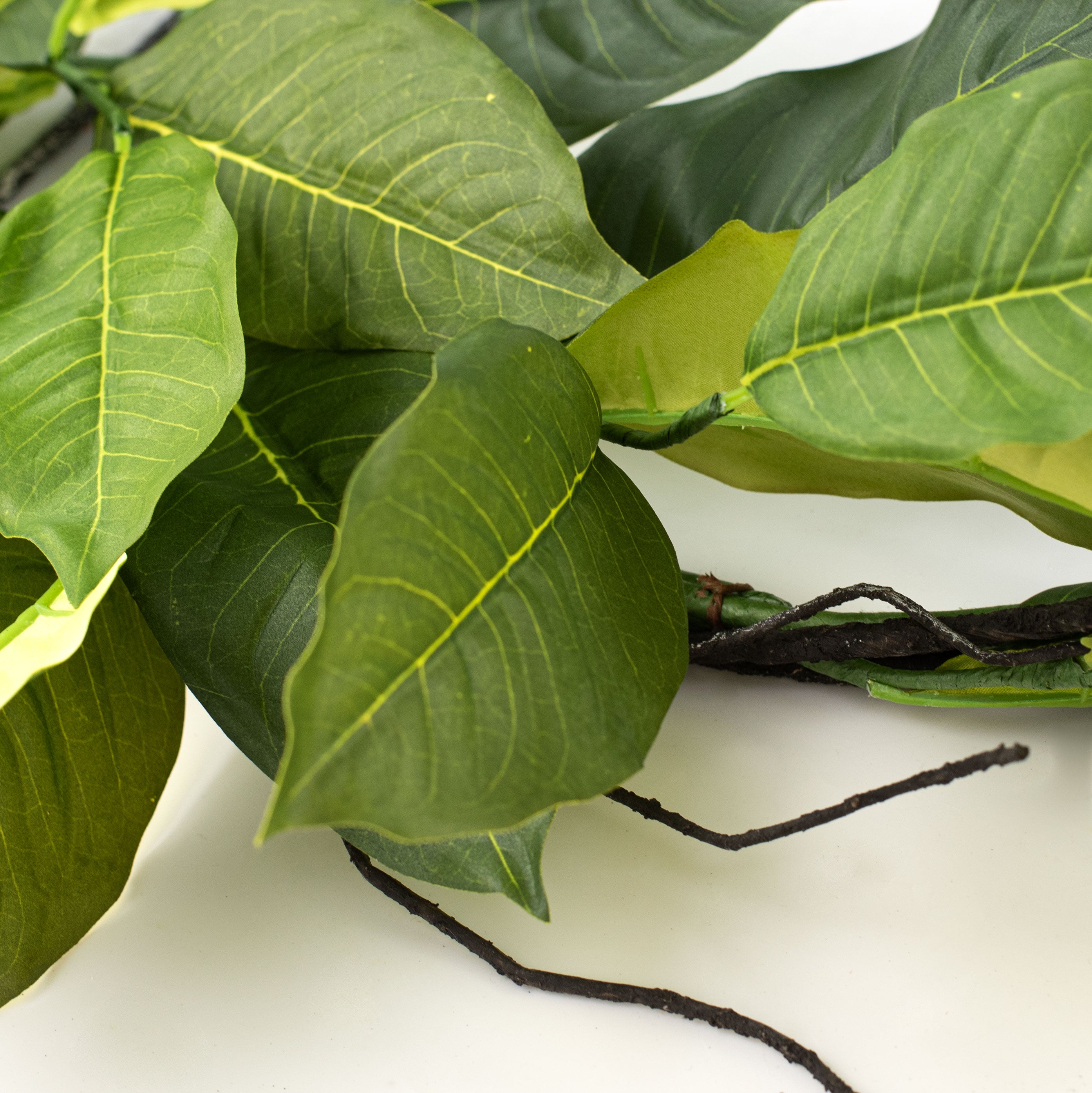 5.5' Salal Lemon Leaf Garland Lifestyle Photo
