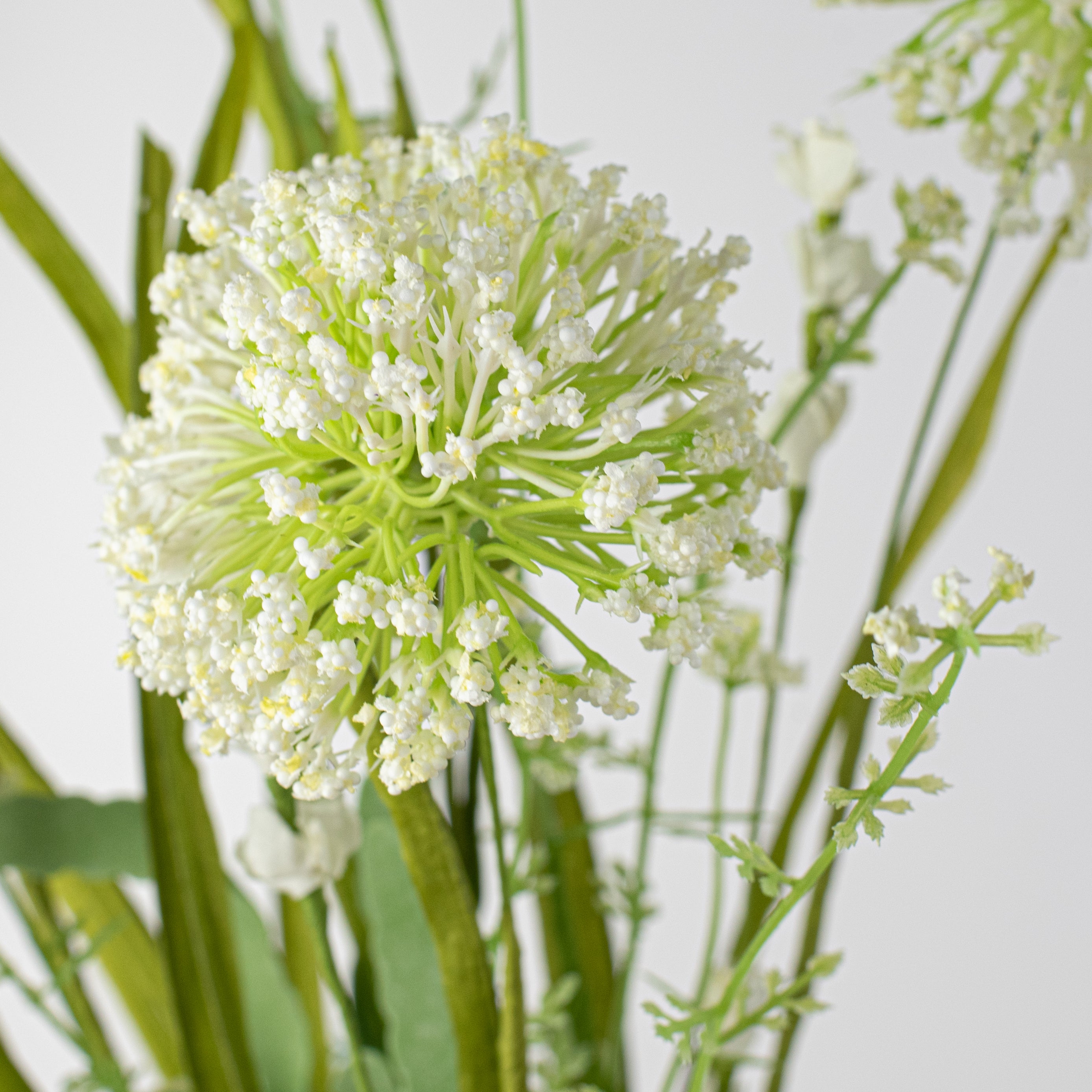 20" Sedum Bush: White Lifestyle Photo