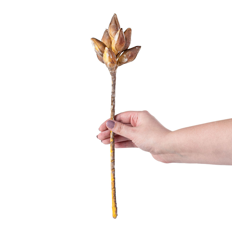 13" Seed Pod Cluster Pick: Yellow-Brown detail photo 3