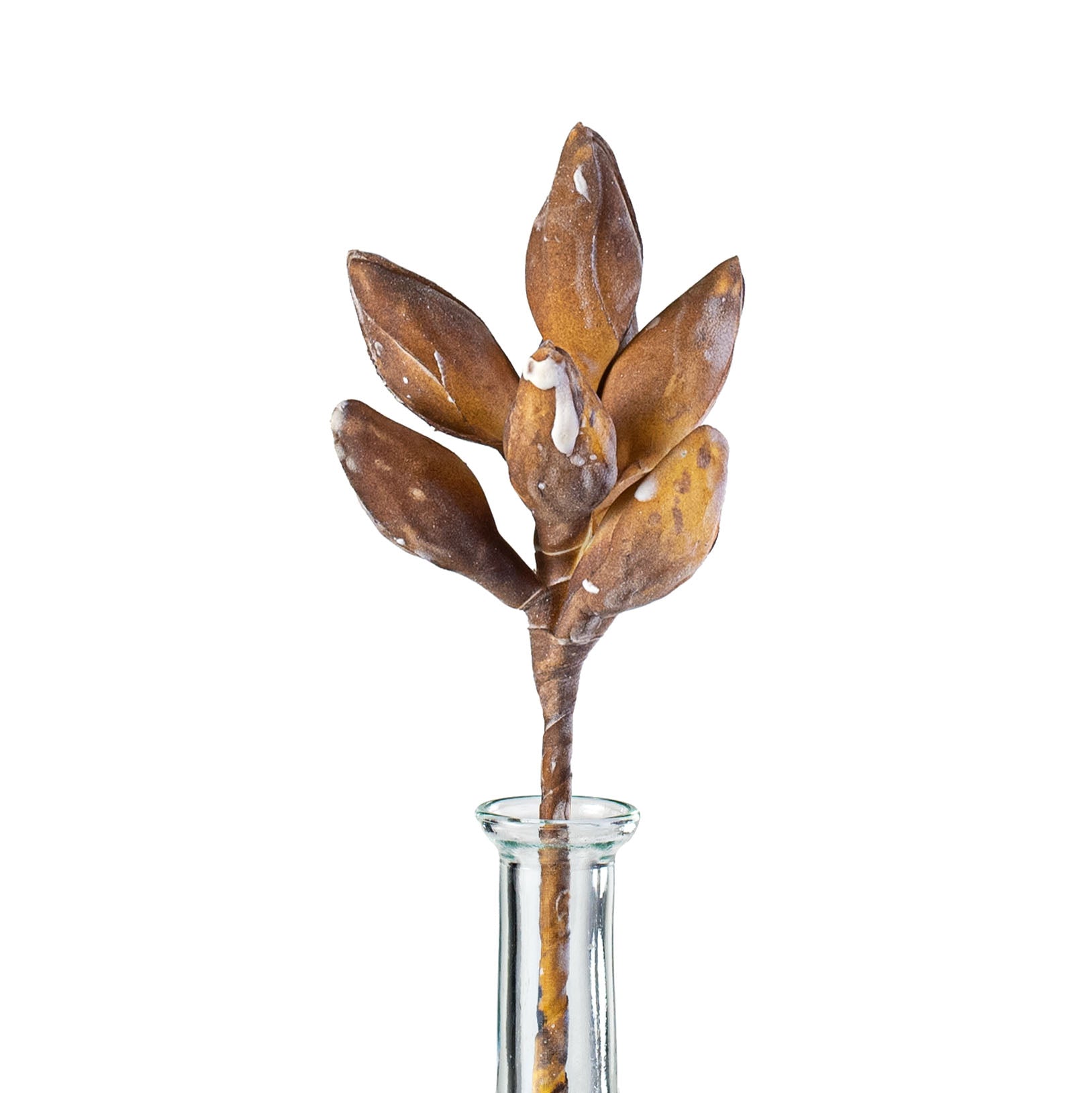 13" Seed Pod Cluster Pick: Yellow-Brown Item Number: FH790137