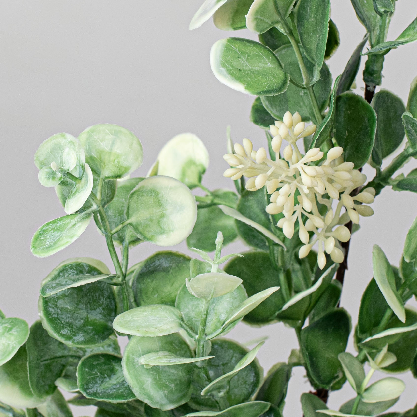19" Seeded Baby Eucalyptus Spray Lifestyle Photo