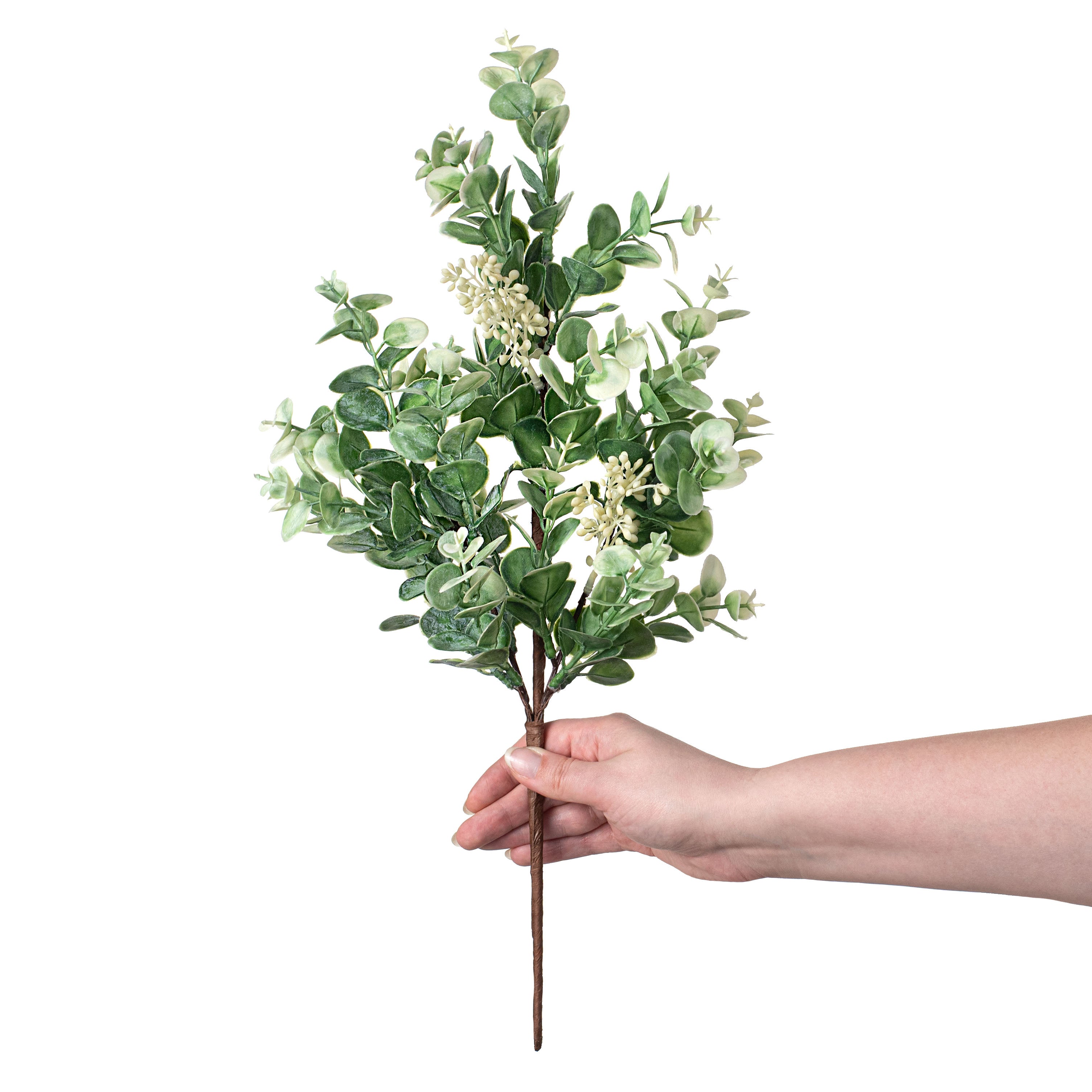 19" Seeded Baby Eucalyptus Spray detail photo 3