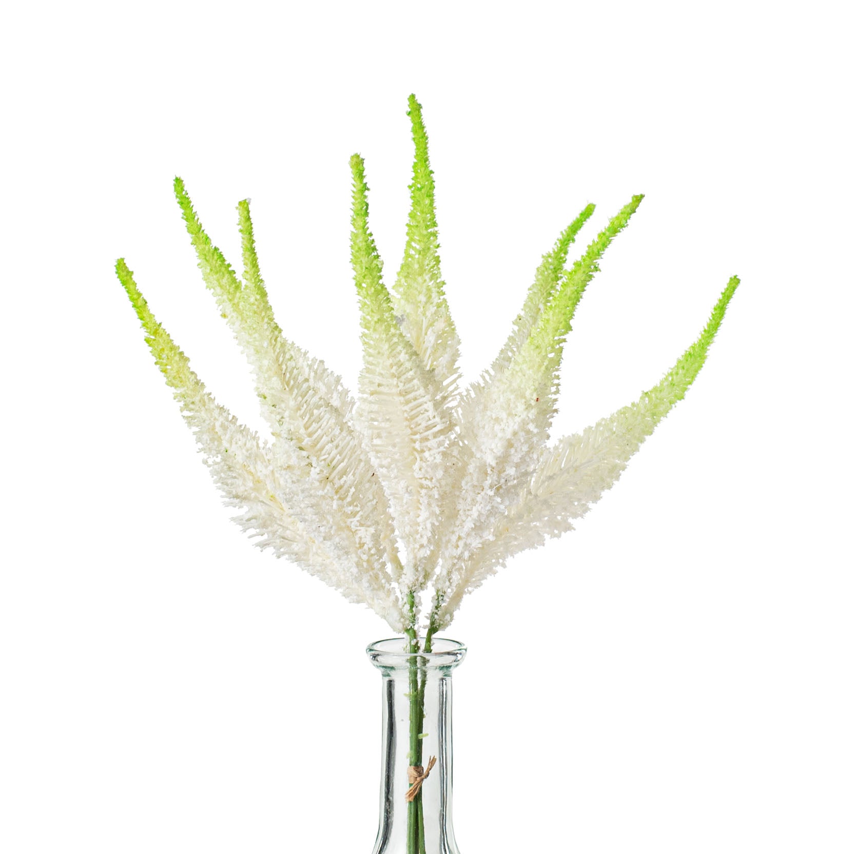 15" Setaria Bundle: Cream Item Number: 2285205CR