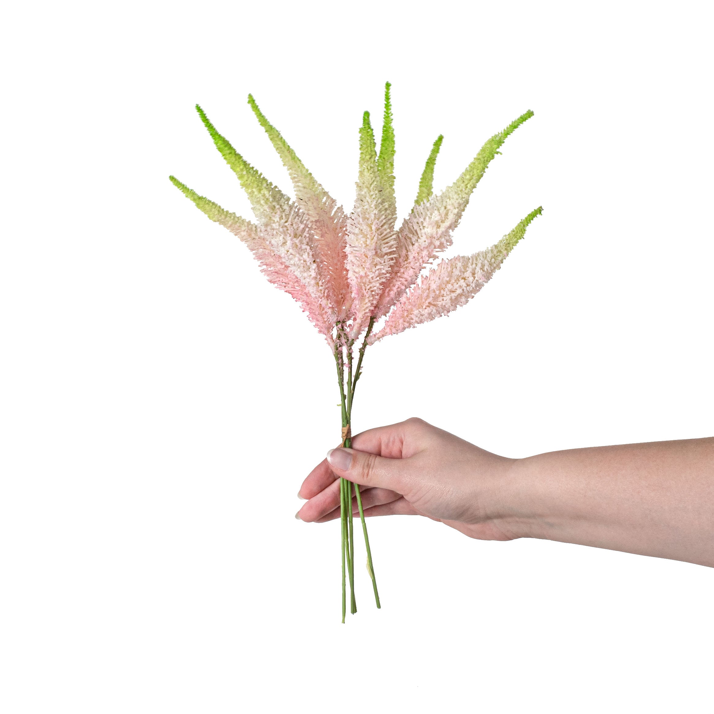 15" Setaria Bundle: Pink & Green detail photo 3