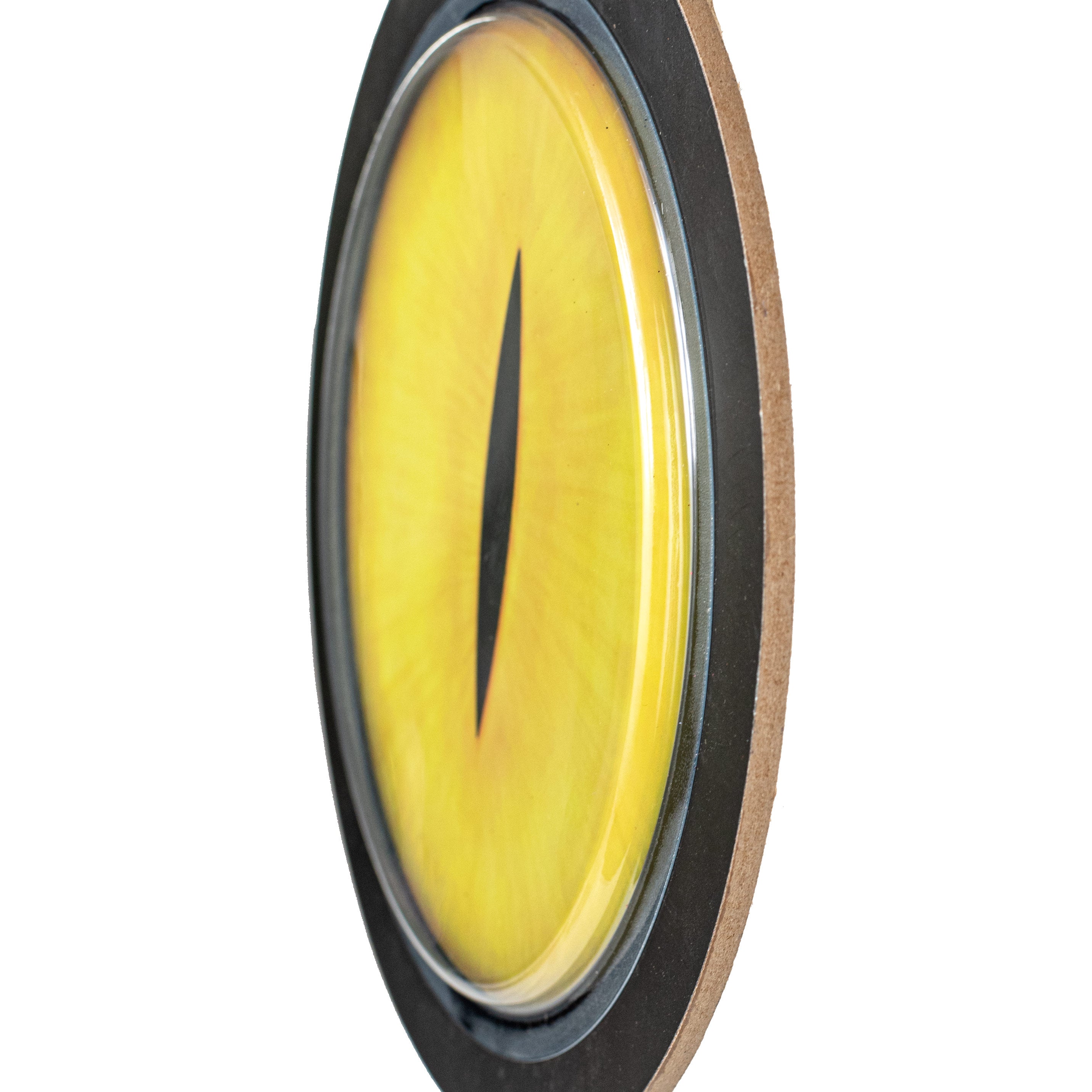 10" Shiny Cat Eye Dome Sign: Yellow & Black detail photo 5
