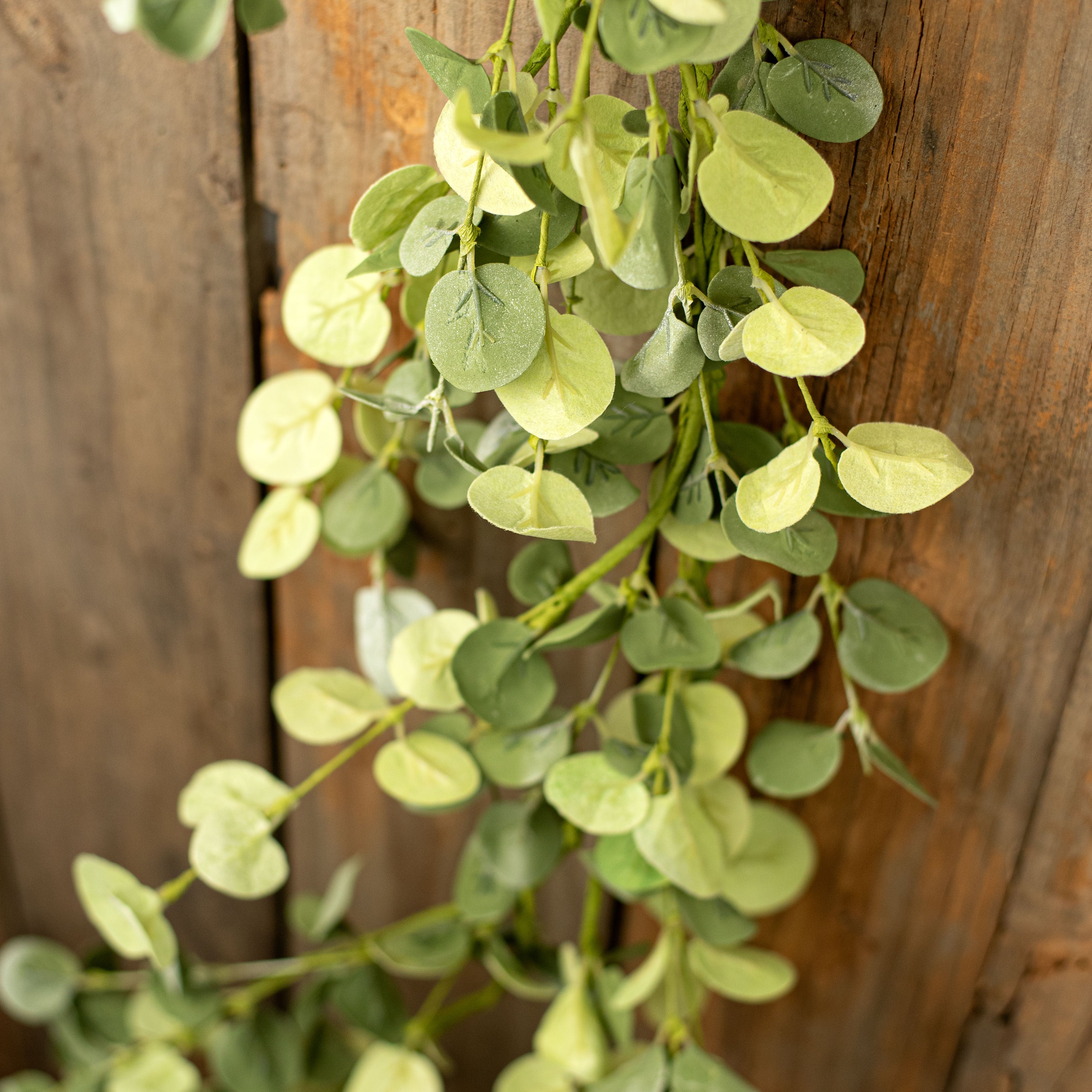 5' Silver Dollar Eucalyptus Garland Lifestyle Photo