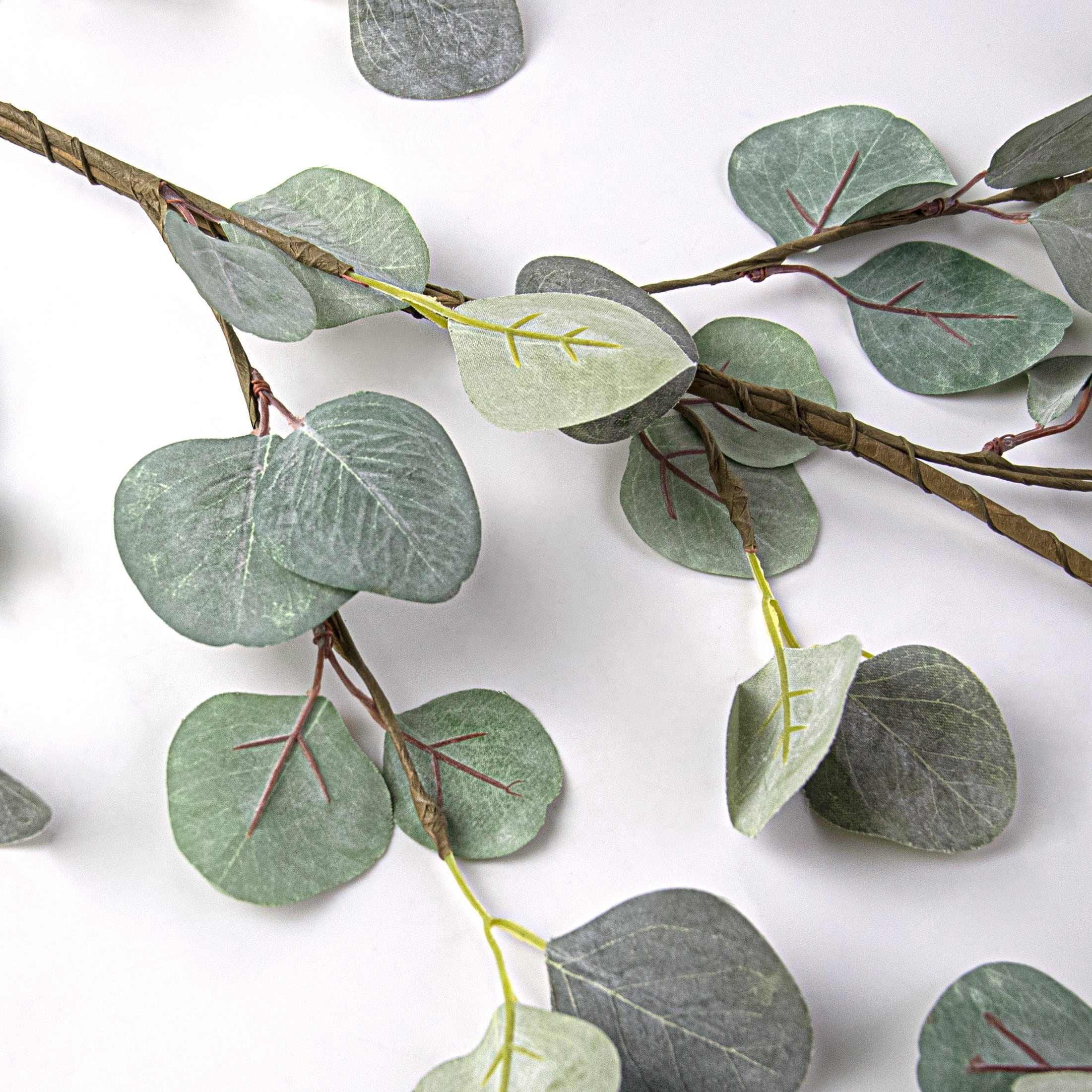 58" Silver Dollar Eucalyptus Garland detail photo 3