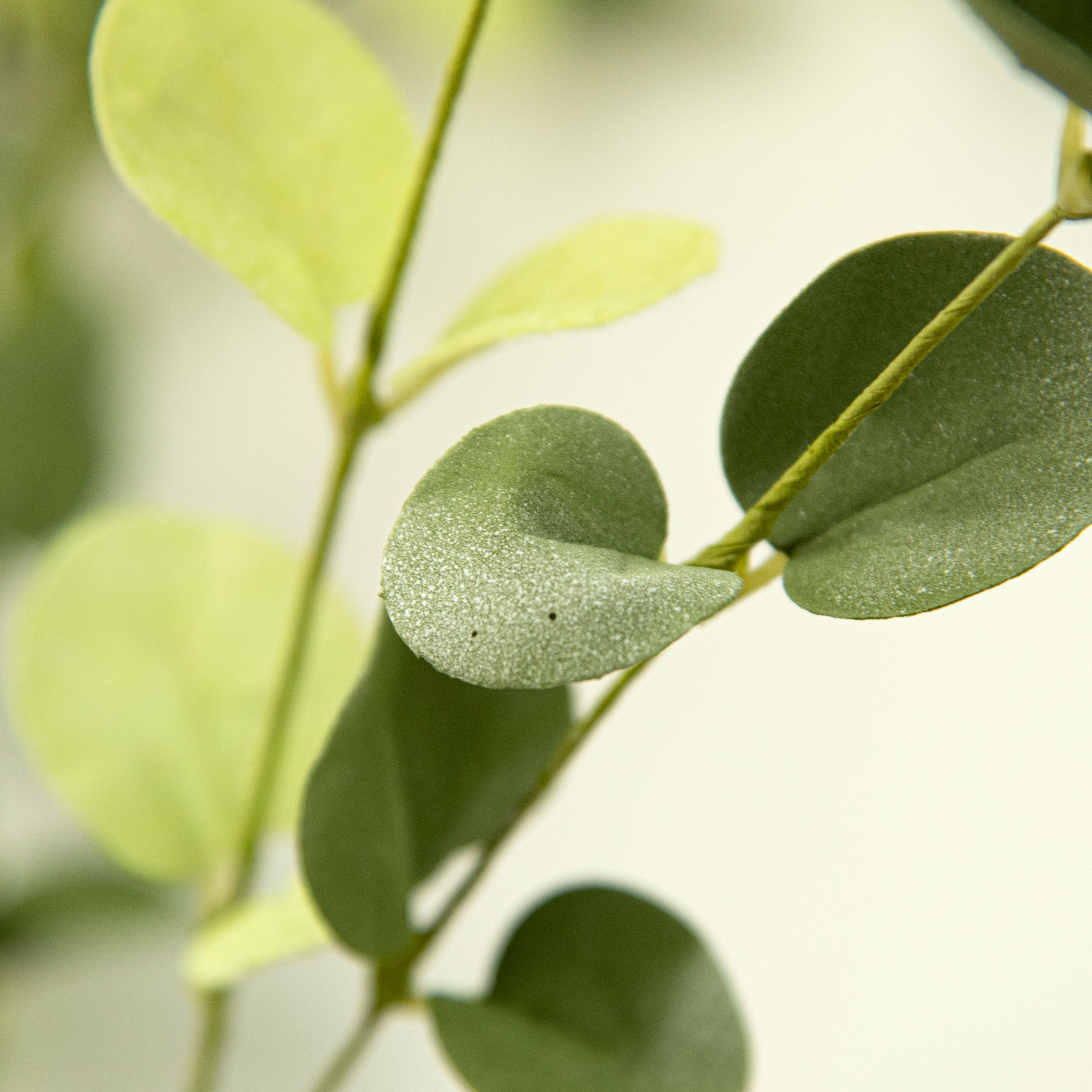5' Silver Dollar Eucalyptus Garland detail photo 3