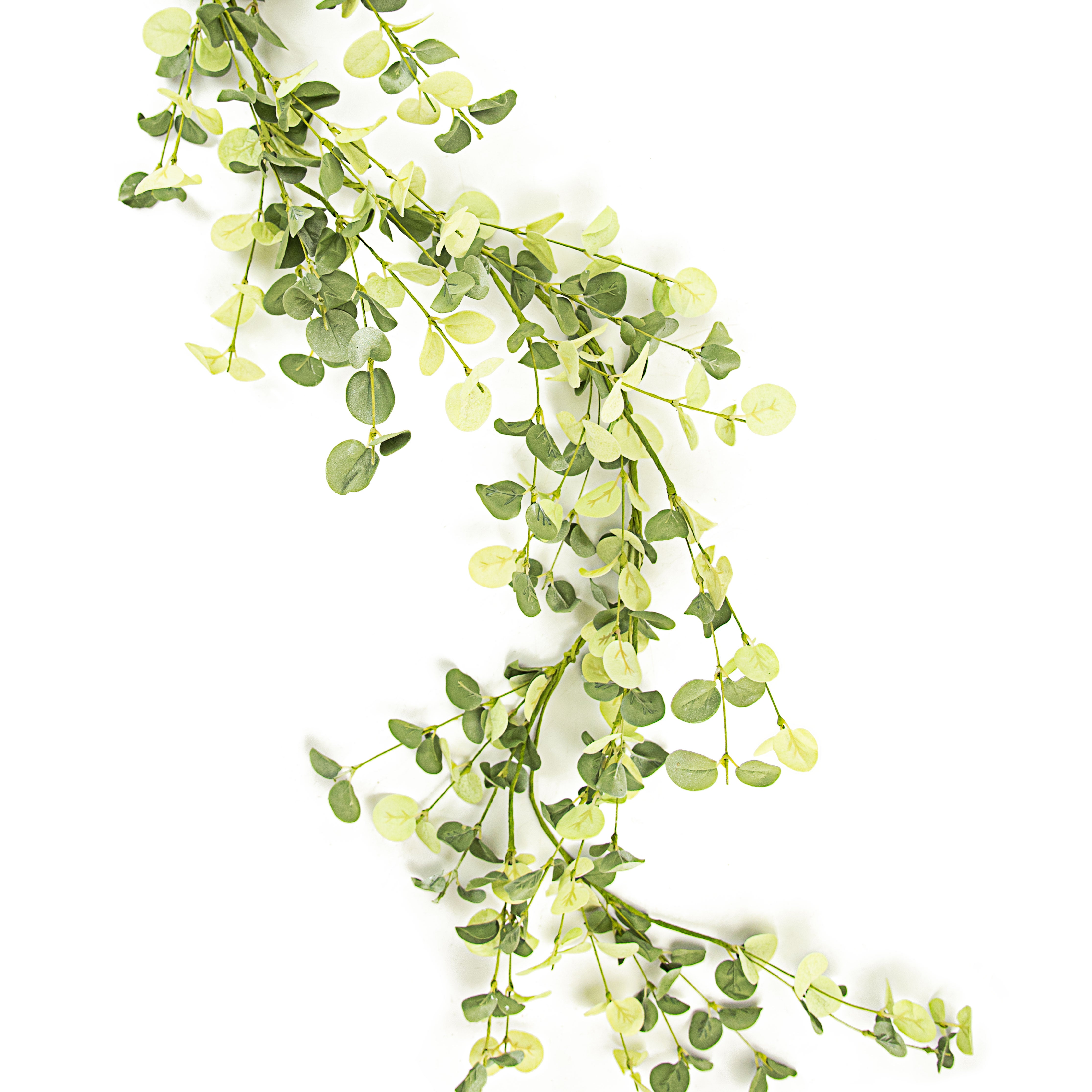 5' Silver Dollar Eucalyptus Garland Item Number: ISB72691