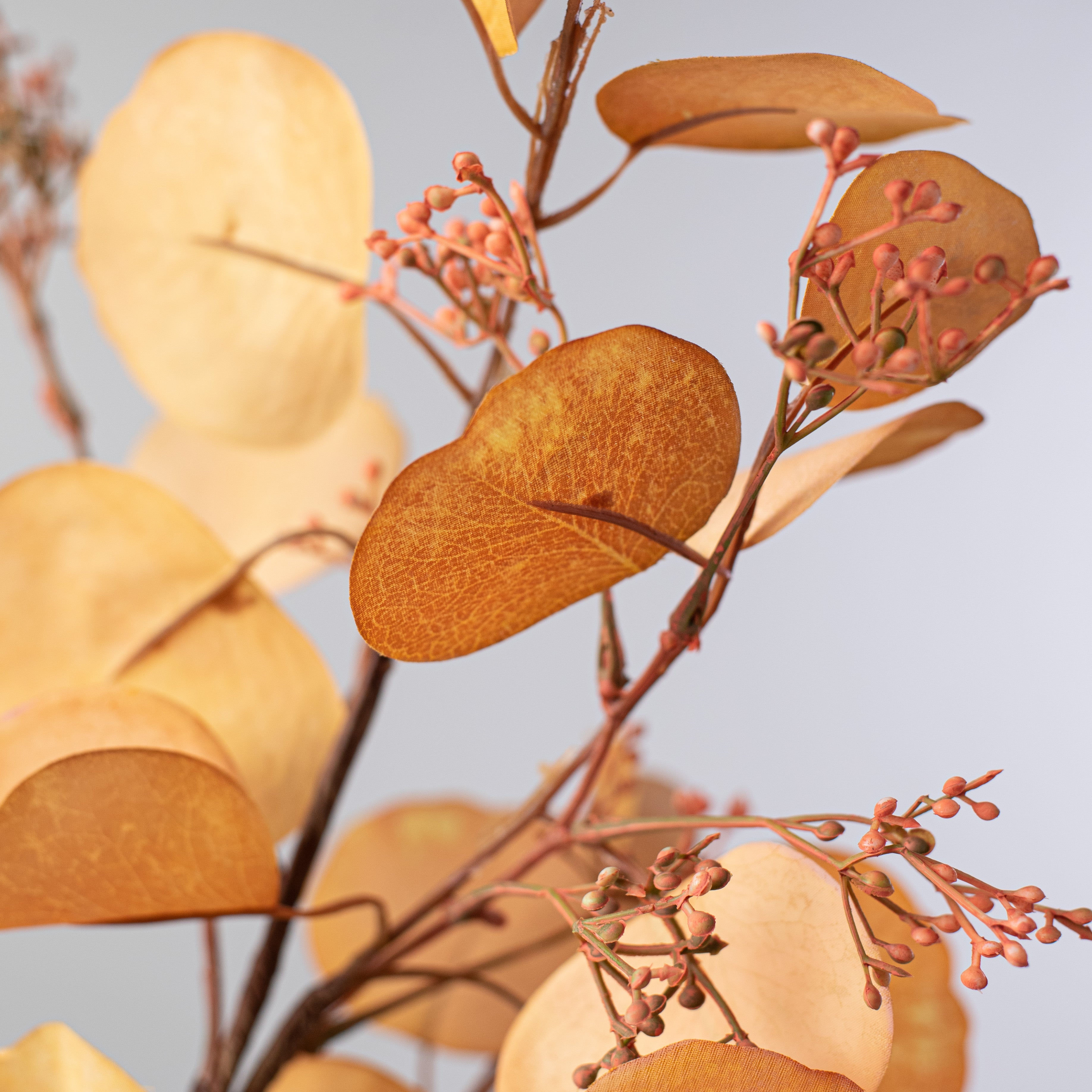 38" Silver Dollar Eucalyptus Leaf Spray: Natural Brown Lifestyle Photo