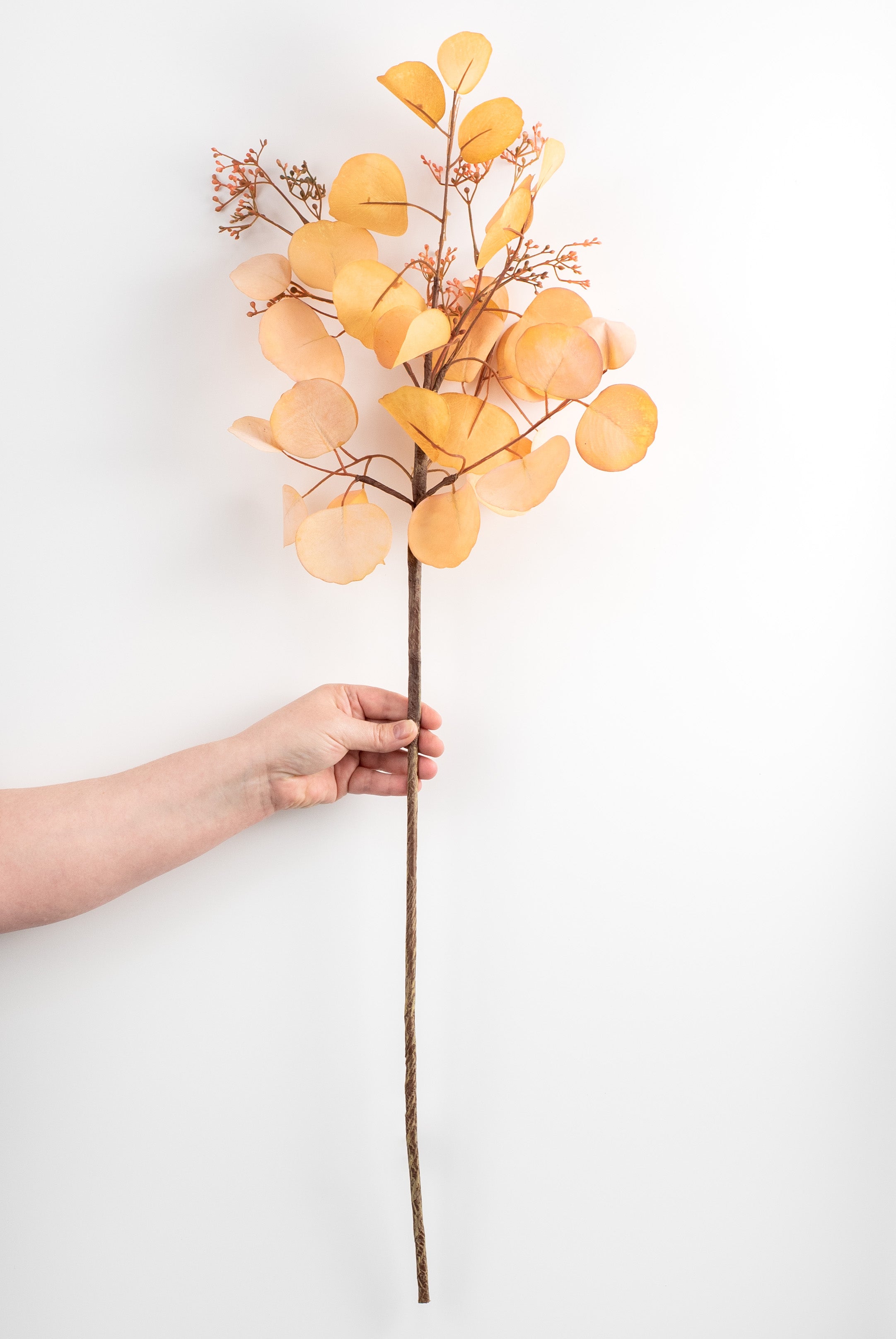 38" Silver Dollar Eucalyptus Leaf Spray: Natural Brown detail photo 3