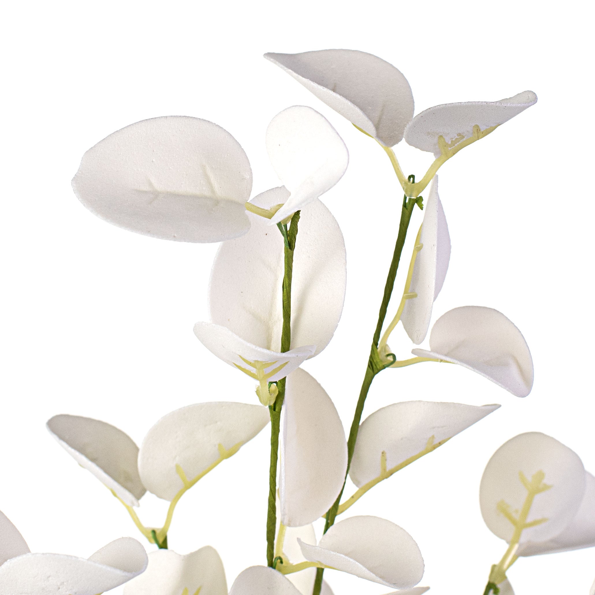 16" Silver Dollar Eucalyptus Pick: White Lifestyle Photo