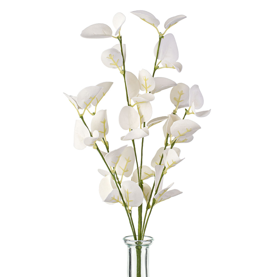 16" Silver Dollar Eucalyptus Pick: White Item Number: 27036