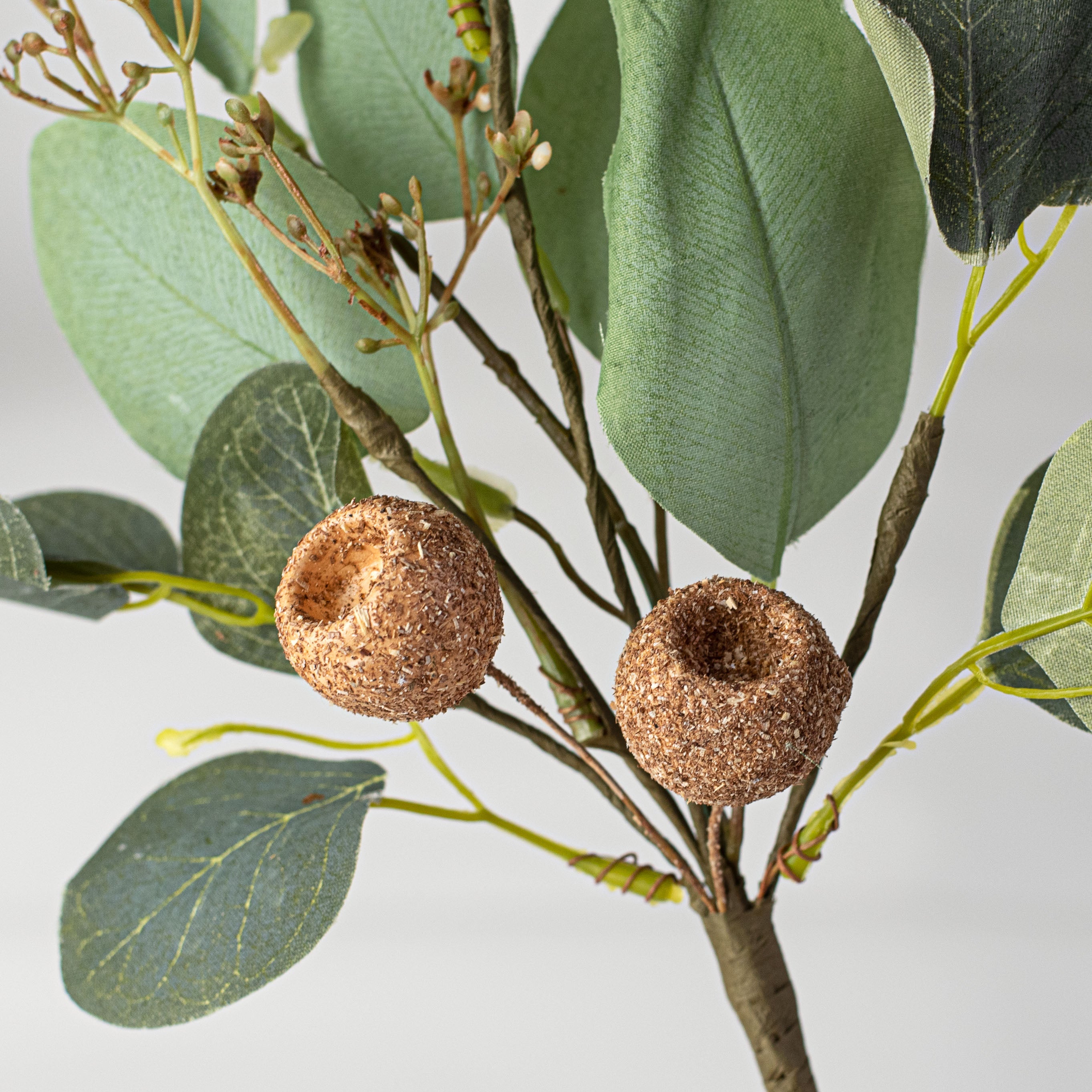 15" Silver Dollar Eucalyptus & Pod Pick Lifestyle Photo