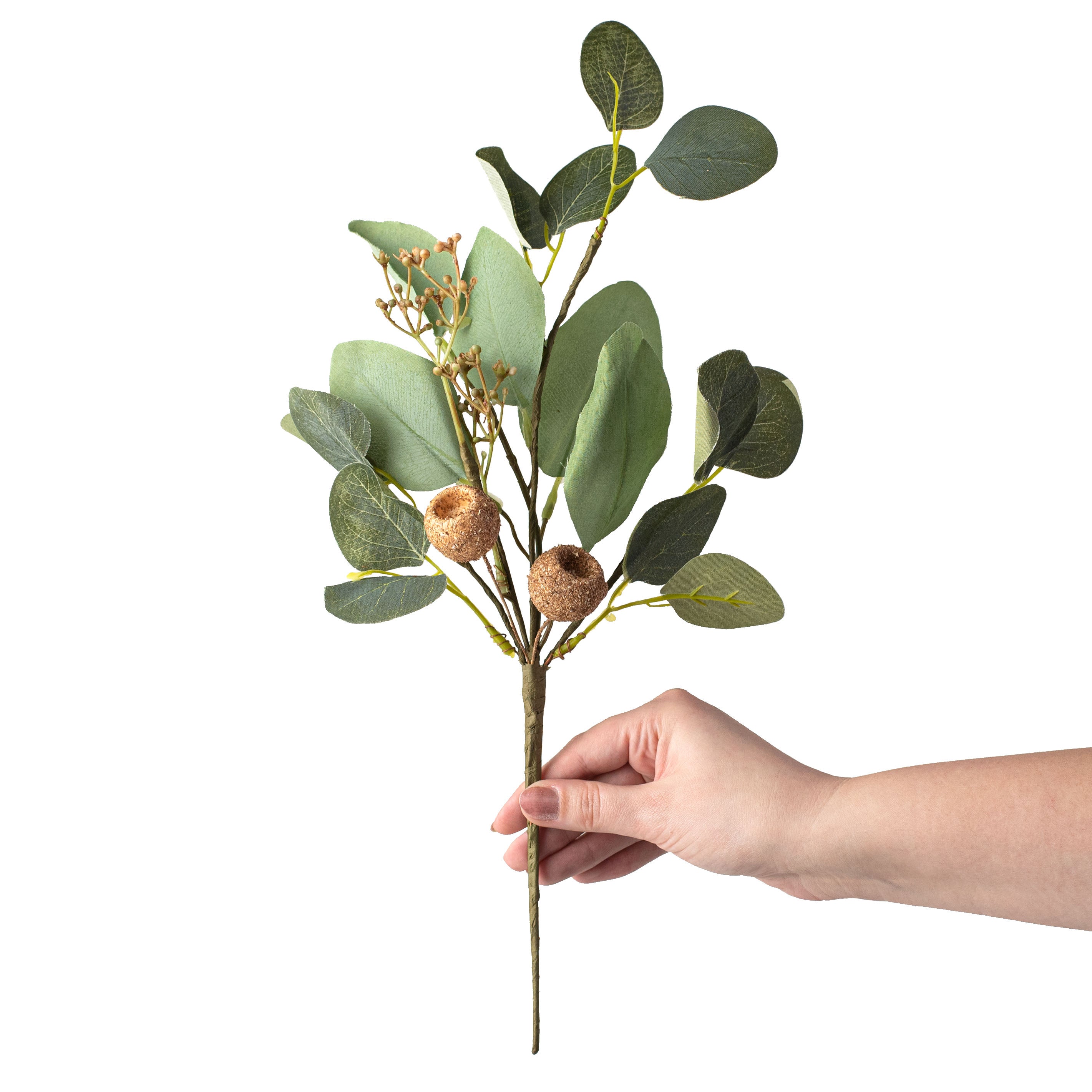 15" Silver Dollar Eucalyptus & Pod Pick detail photo 3