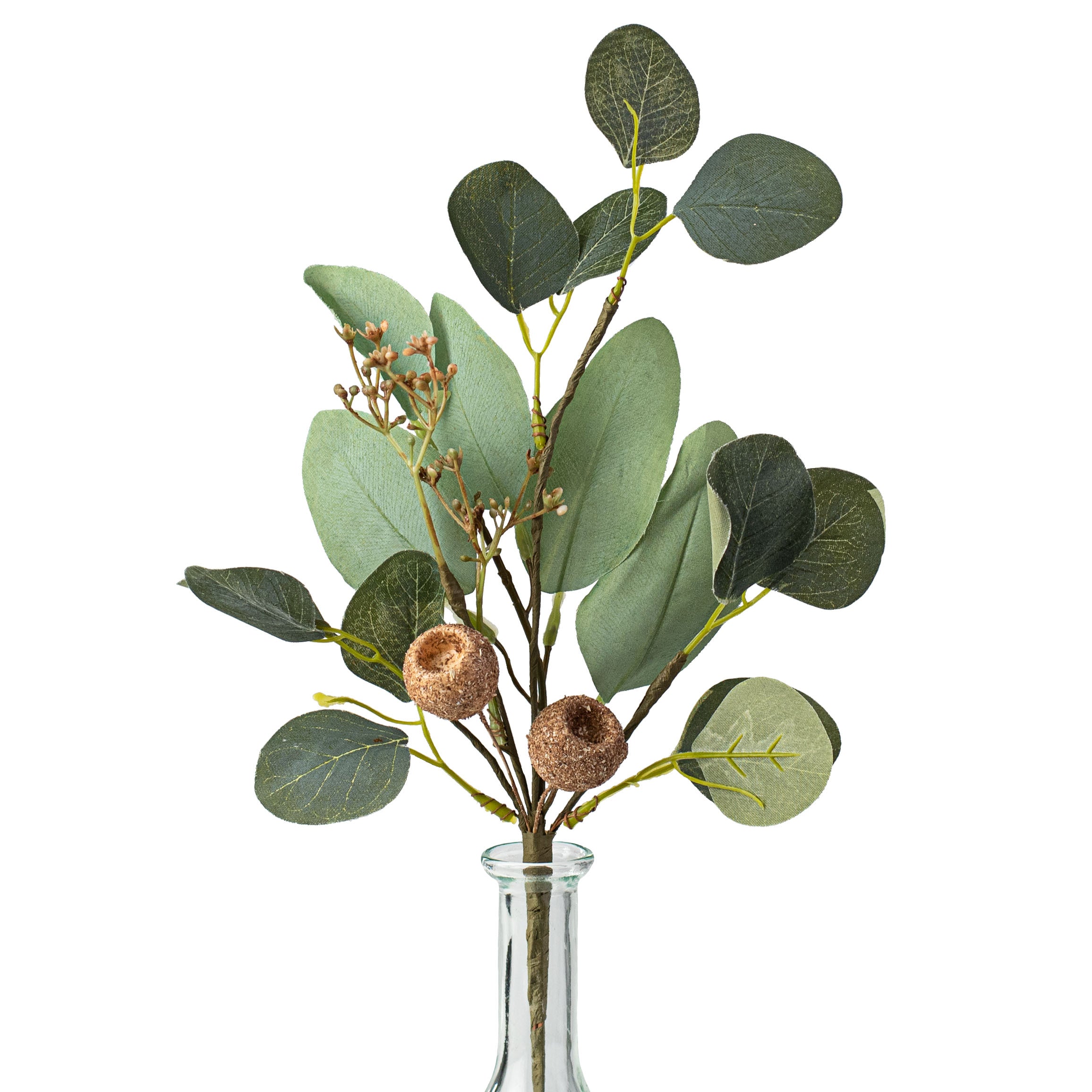 15" Silver Dollar Eucalyptus & Pod Pick Item Number: FG5691