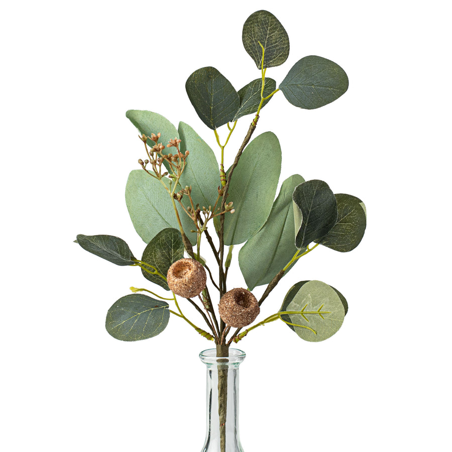 15" Silver Dollar Eucalyptus & Pod Pick Item Number: FG5691