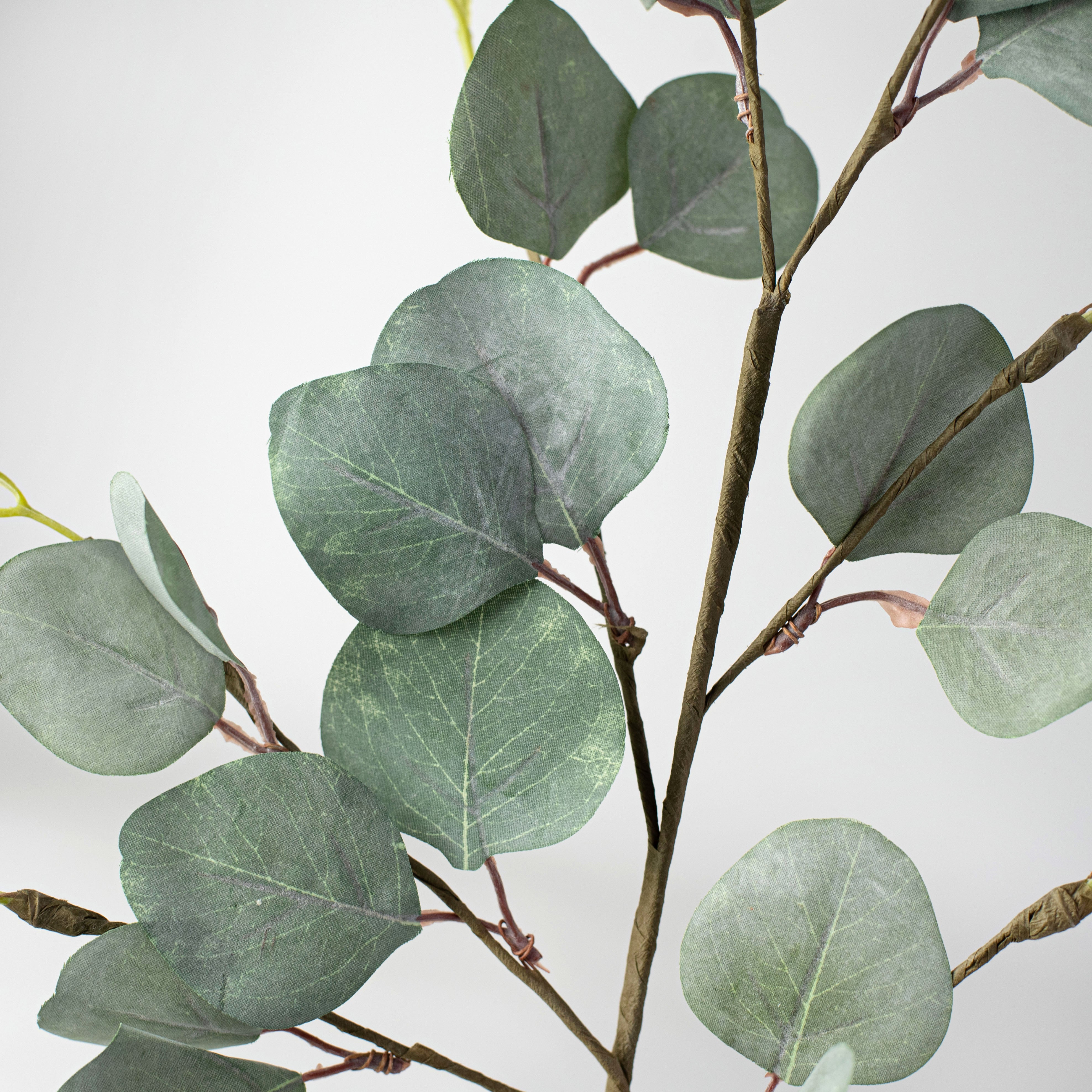 29" Silver Dollar Eucalyptus Spray Lifestyle Photo