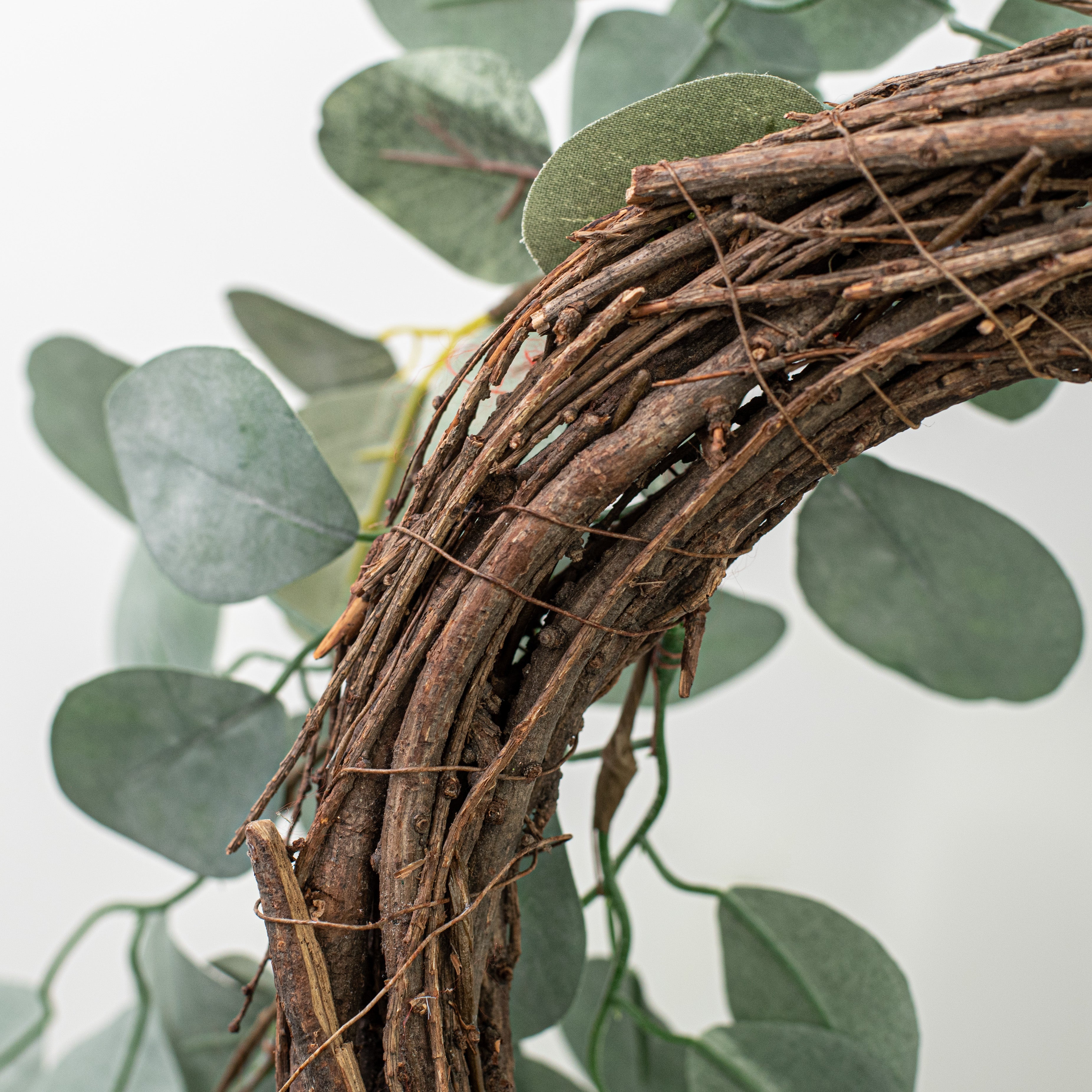 21.5" Silver Dollar Eucalyptus Wreath detail photo 4
