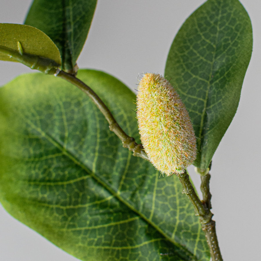 25" Single Magnolia Spray detail photo 4