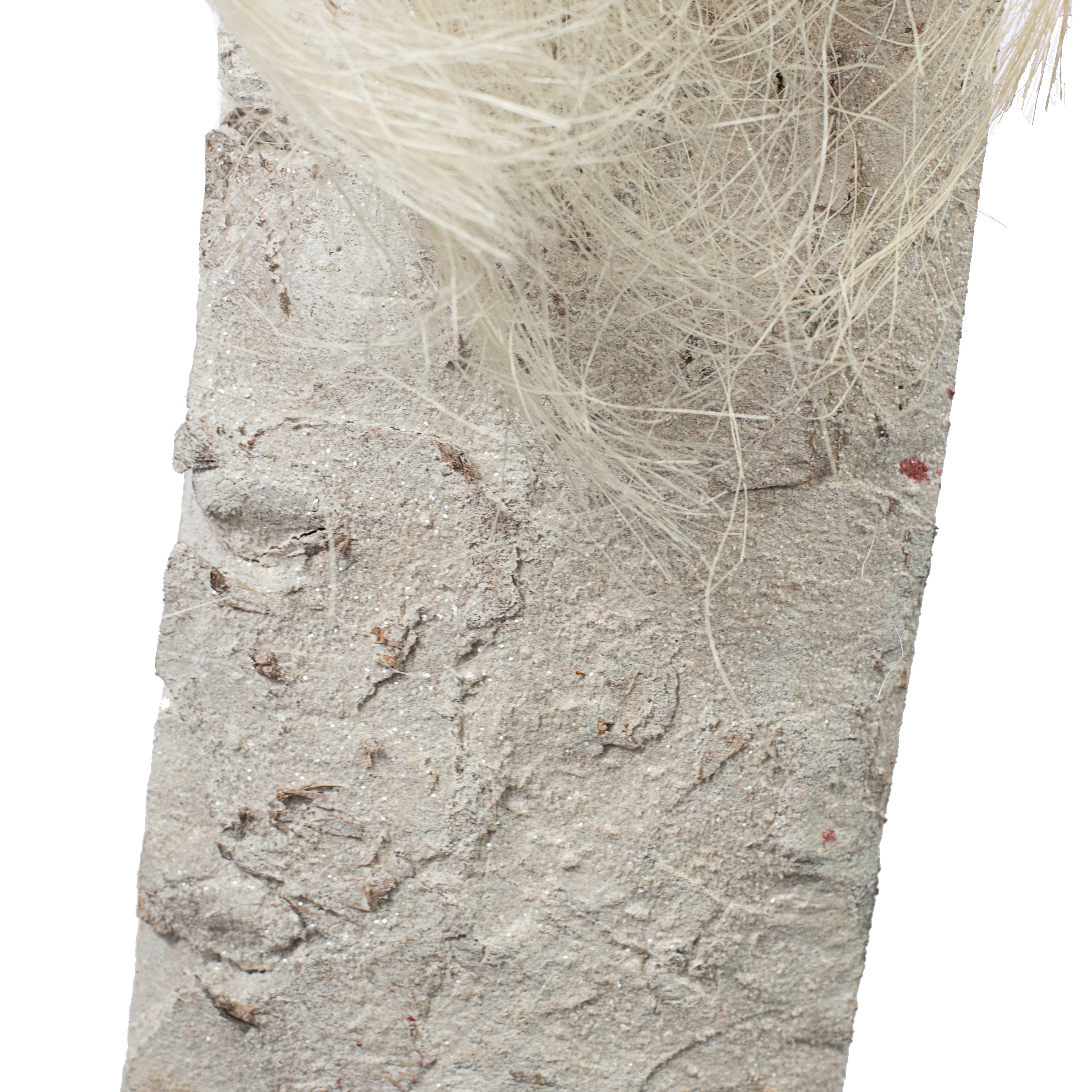 32" Single Plank Birch Decoration: Santa detail photo 3