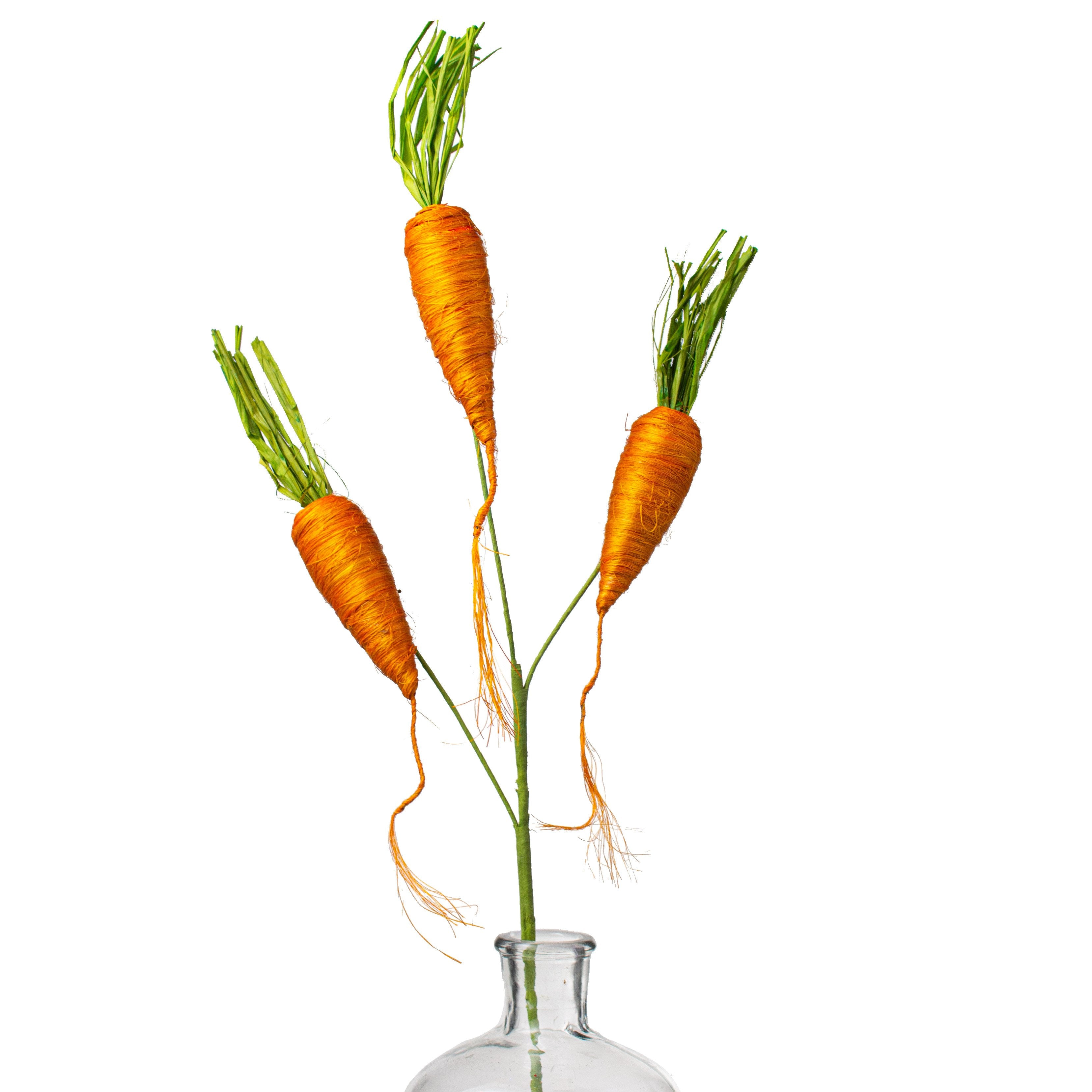 24" Sisal Carrot Pick: Orange Item Number: 63030OR