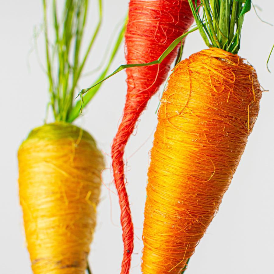 24" Sisal Carrot Pick: Red, Orange, Yellow Lifestyle Photo