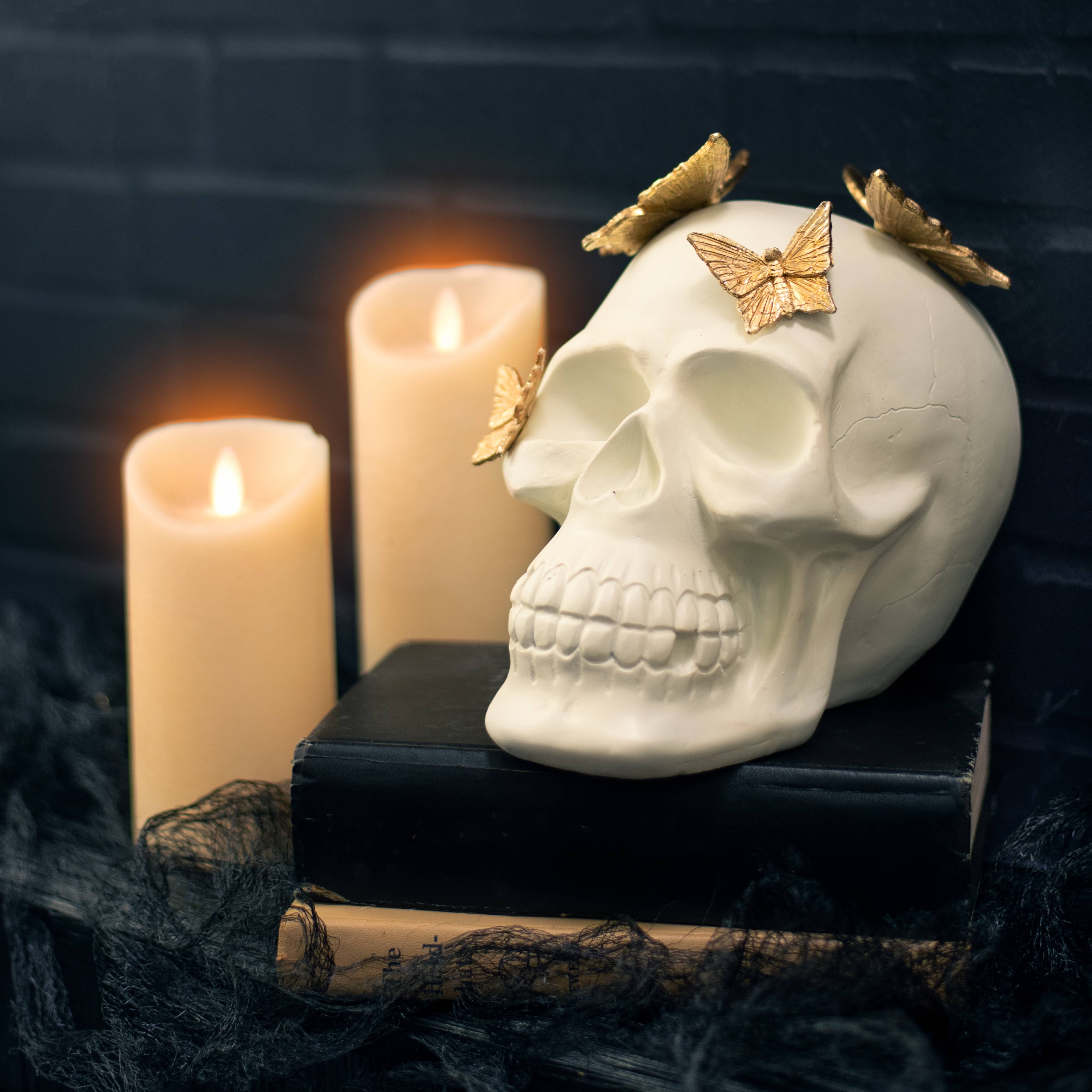 7.75" Skull with Butterflies Decor Lifestyle Photo