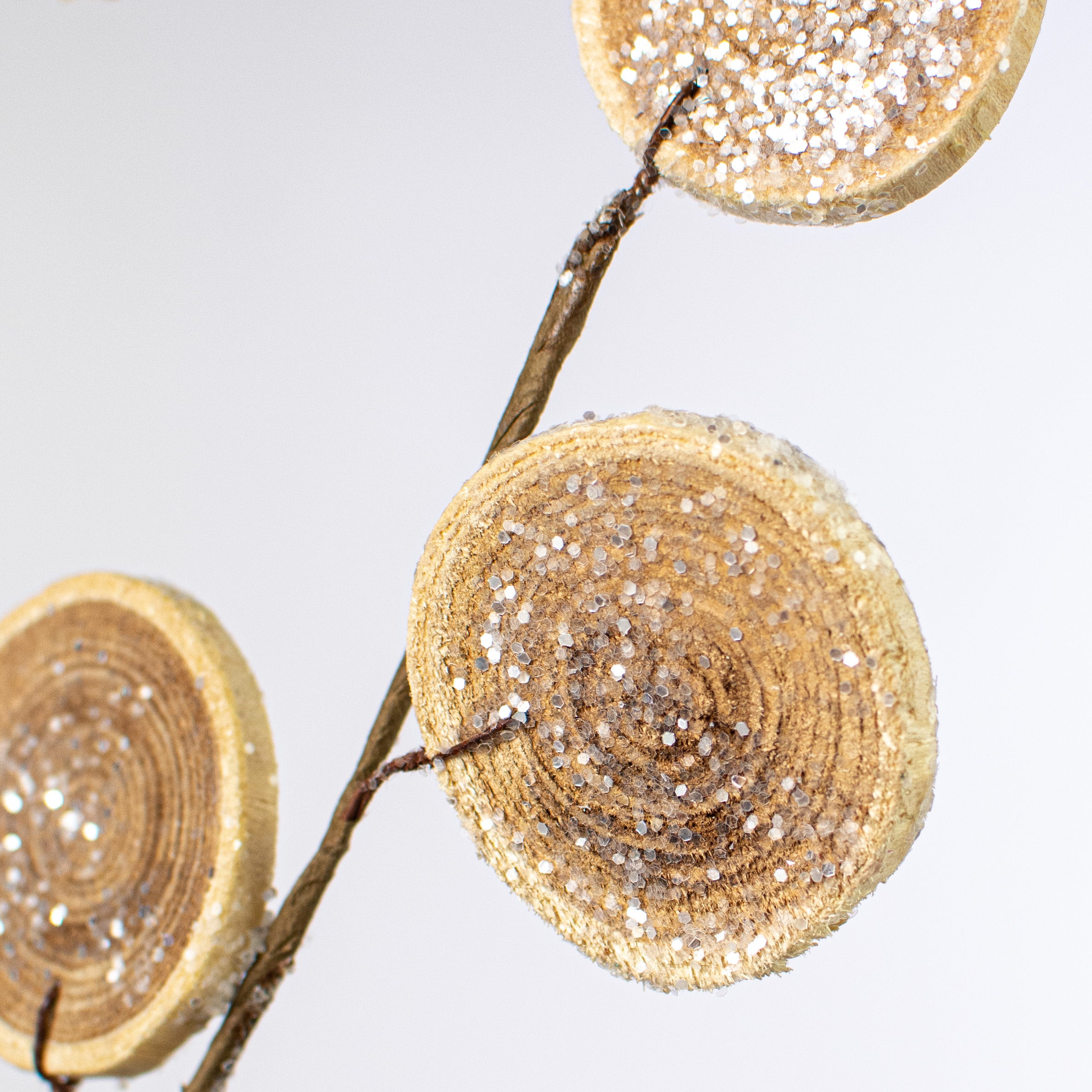 24" Sliced Frosted Wood Spray: Wood Lifestyle Photo