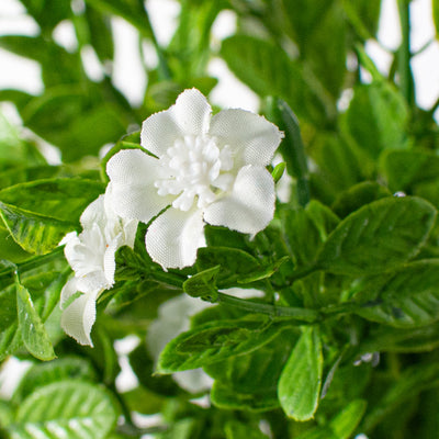 17" Small Flower Filler Bush: White Lifestyle Photo