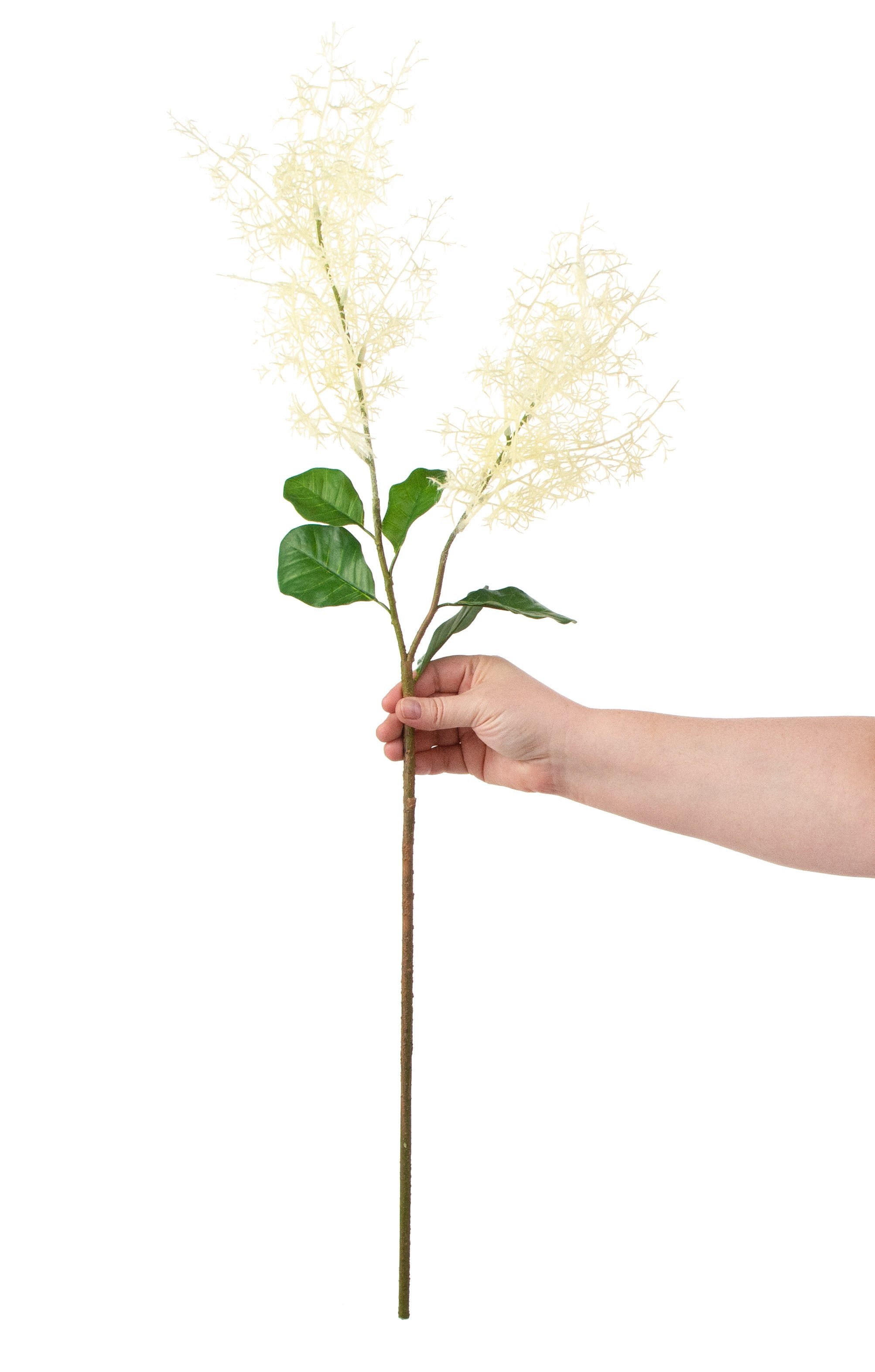 32" Smoke Tree Spray: Cream detail photo 3