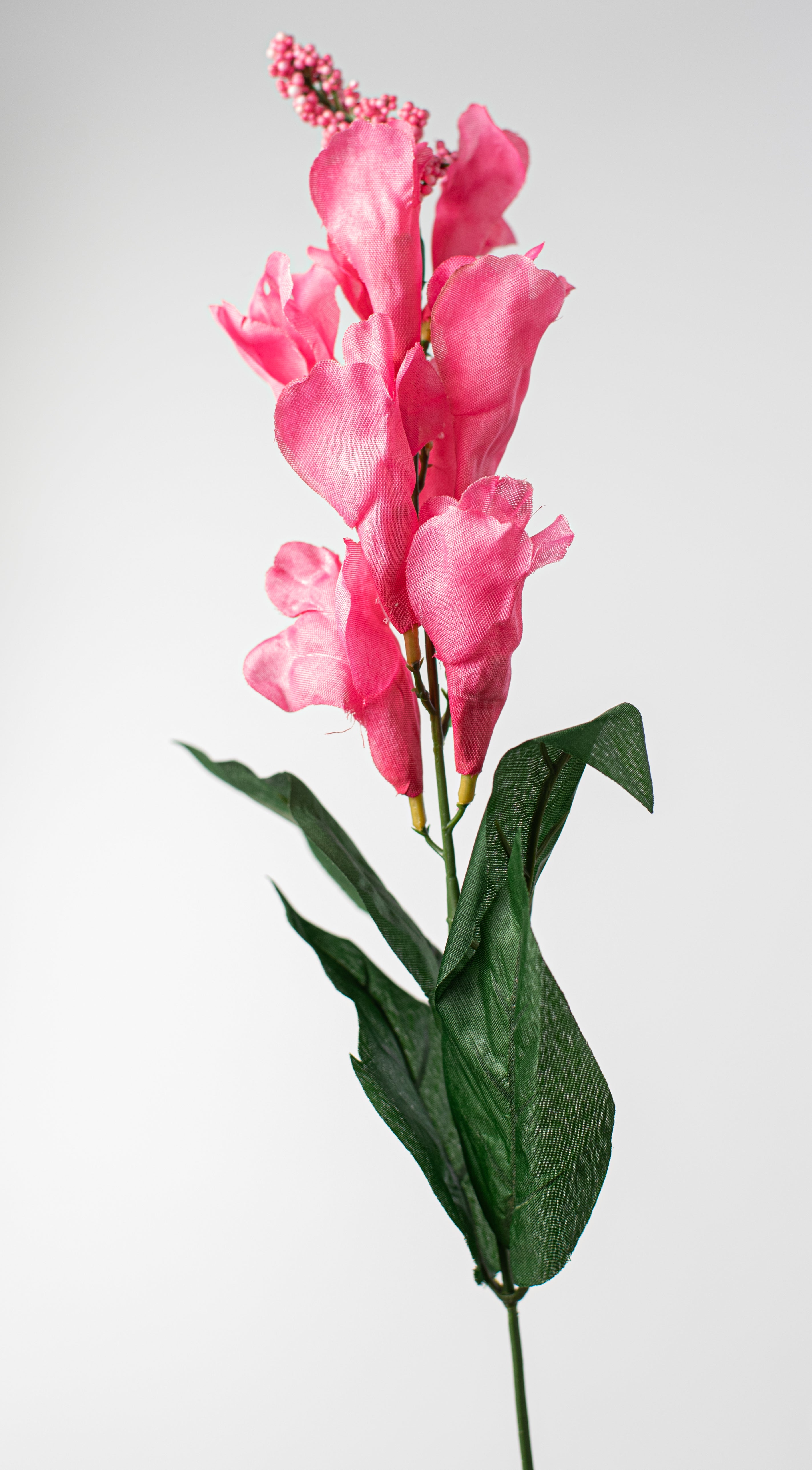 24" Snapdragon Bush: Pink (7 Stem) detail photo 4