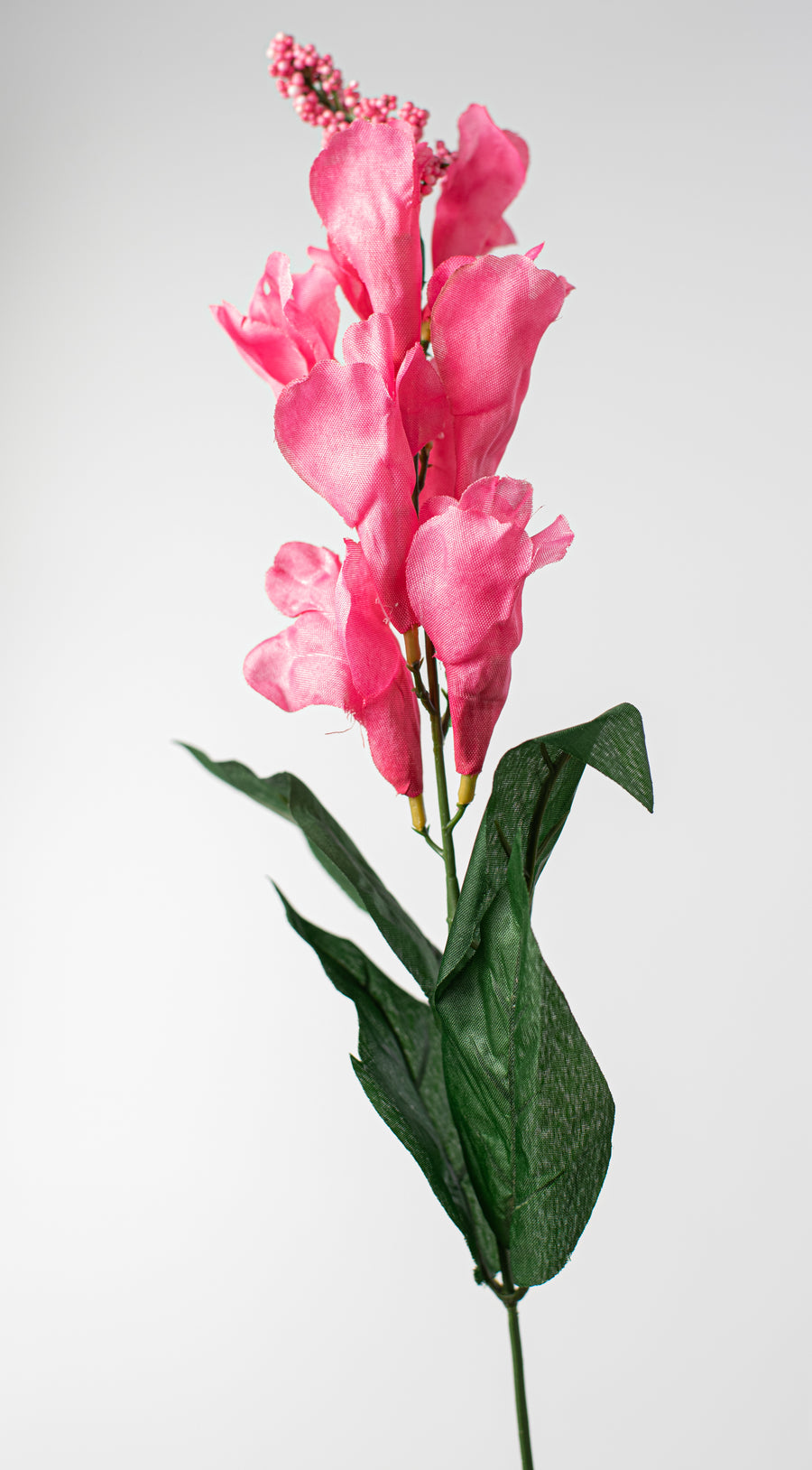 24" Snapdragon Bush: Pink (7 Stem) detail photo 4