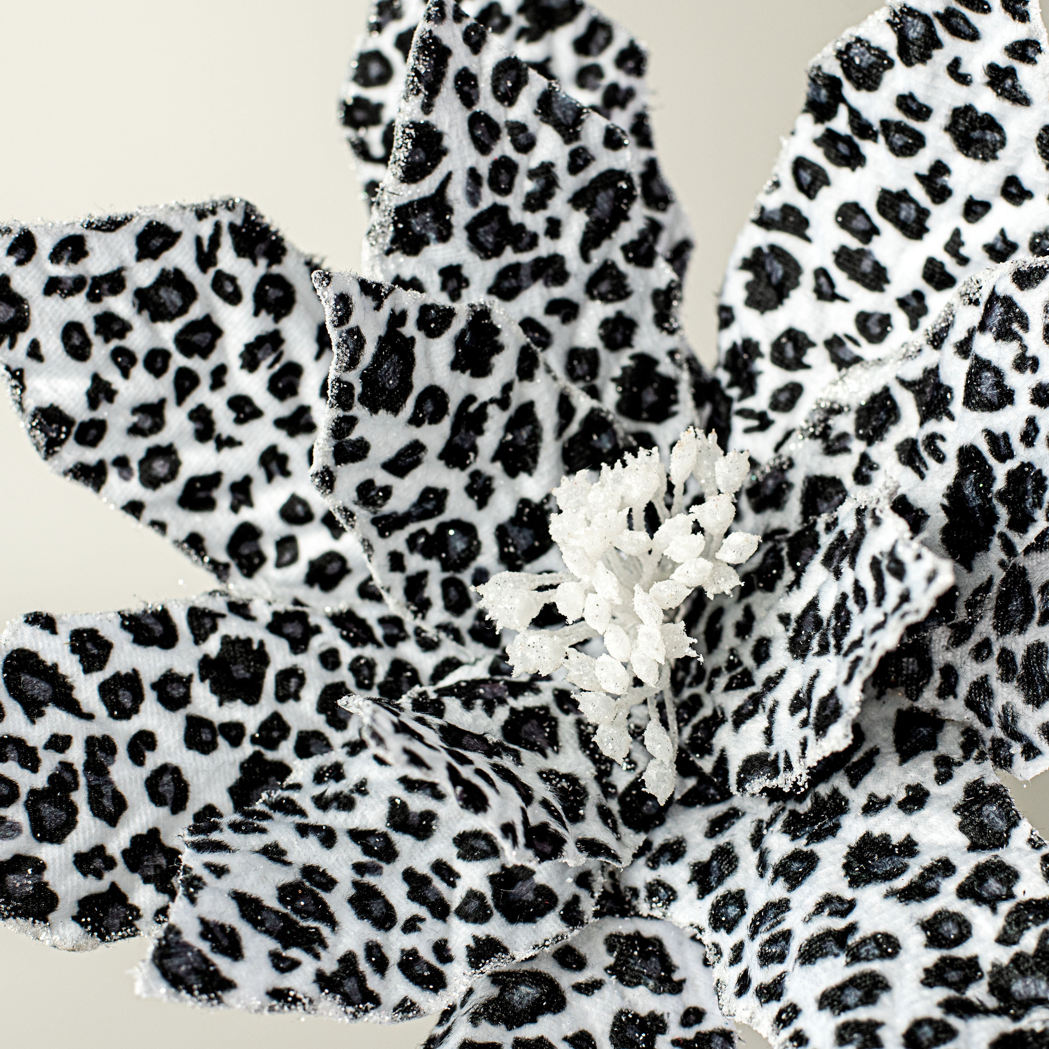 22" Snow Leopard Poinsettia Spray Lifestyle Photo