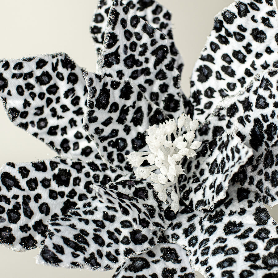 22" Snow Leopard Poinsettia Spray Lifestyle Photo