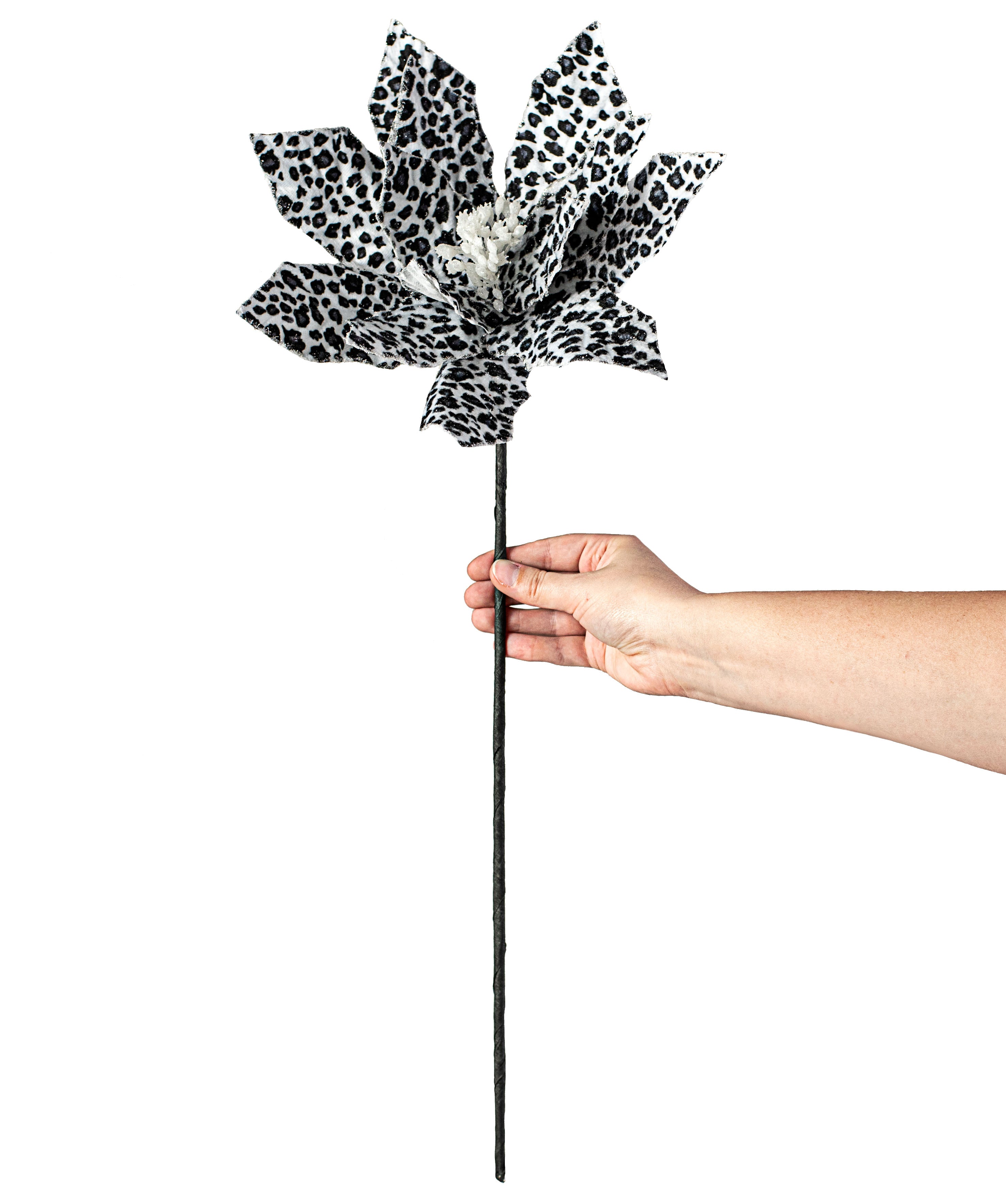 22" Snow Leopard Poinsettia Spray detail photo 3