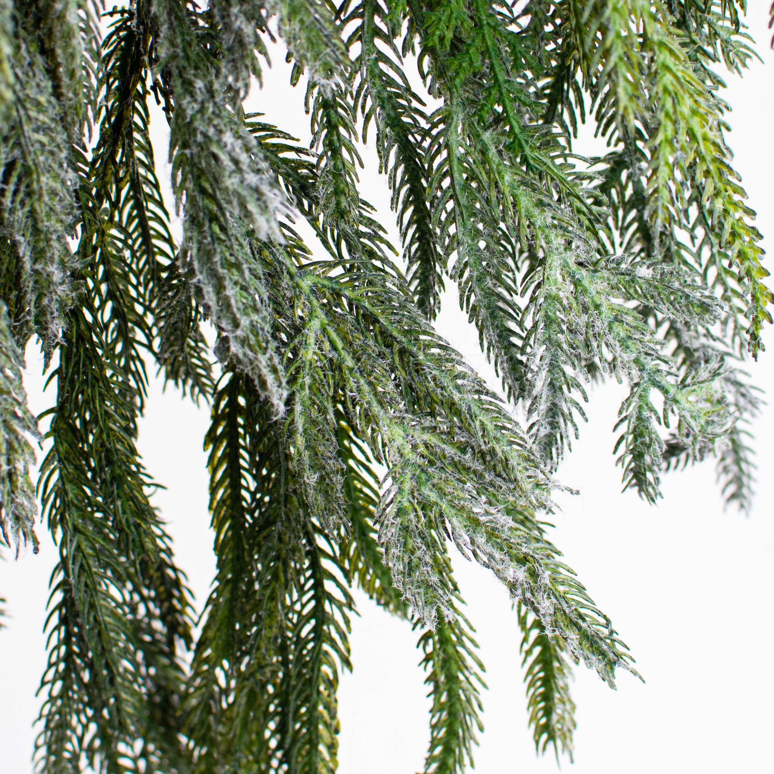 26" Snow Pine Teardrop detail photo 4