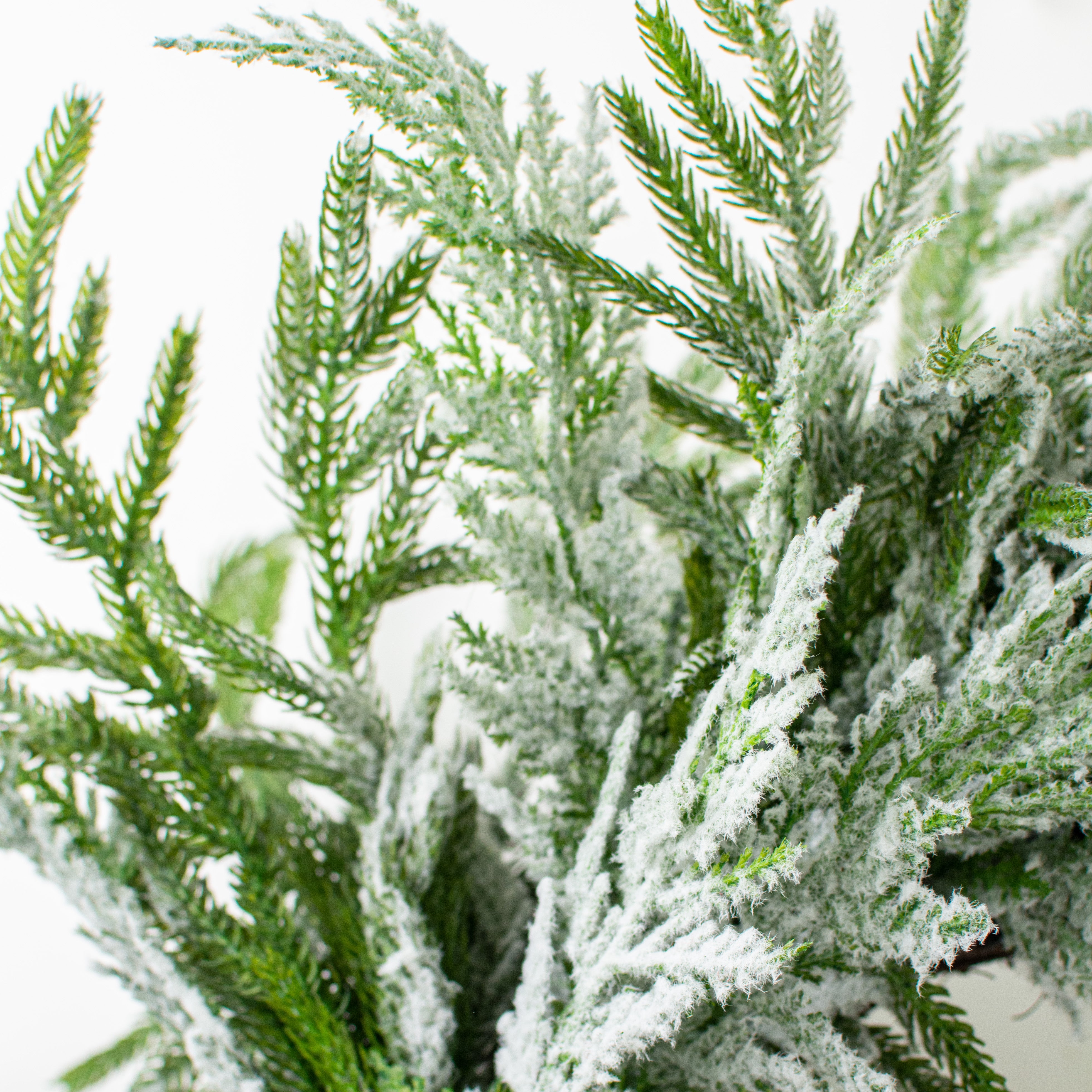 24" Snow Pine Wreath detail photo 3