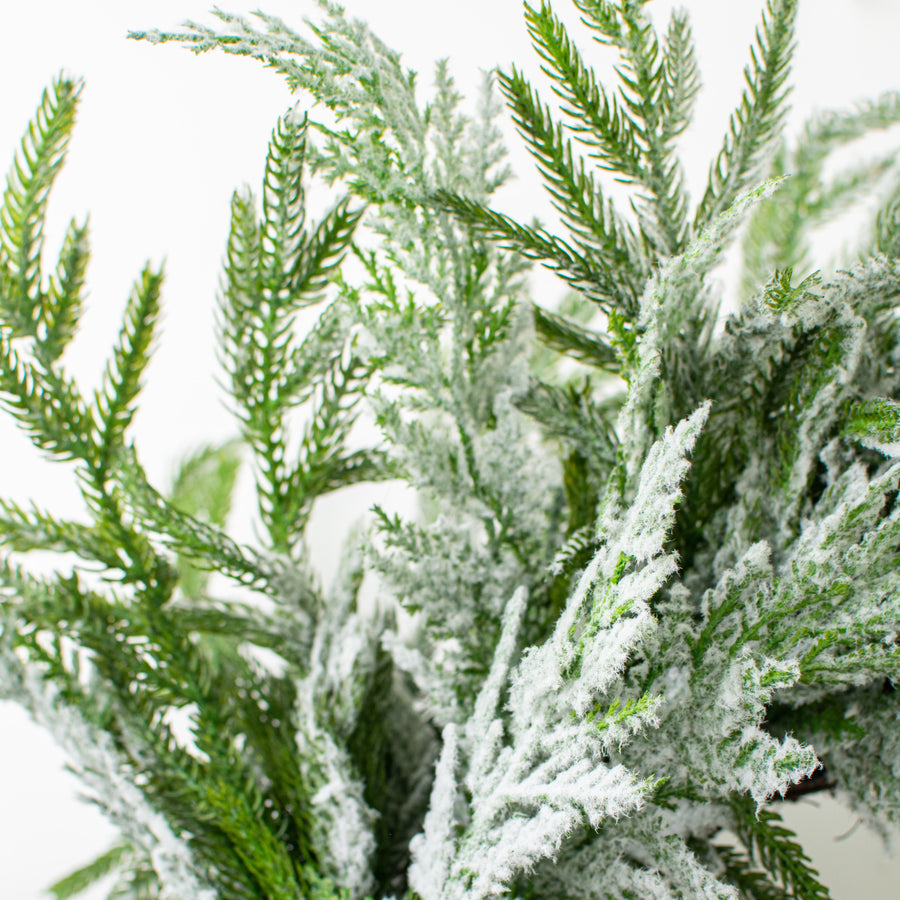 24" Snow Pine Wreath detail photo 3