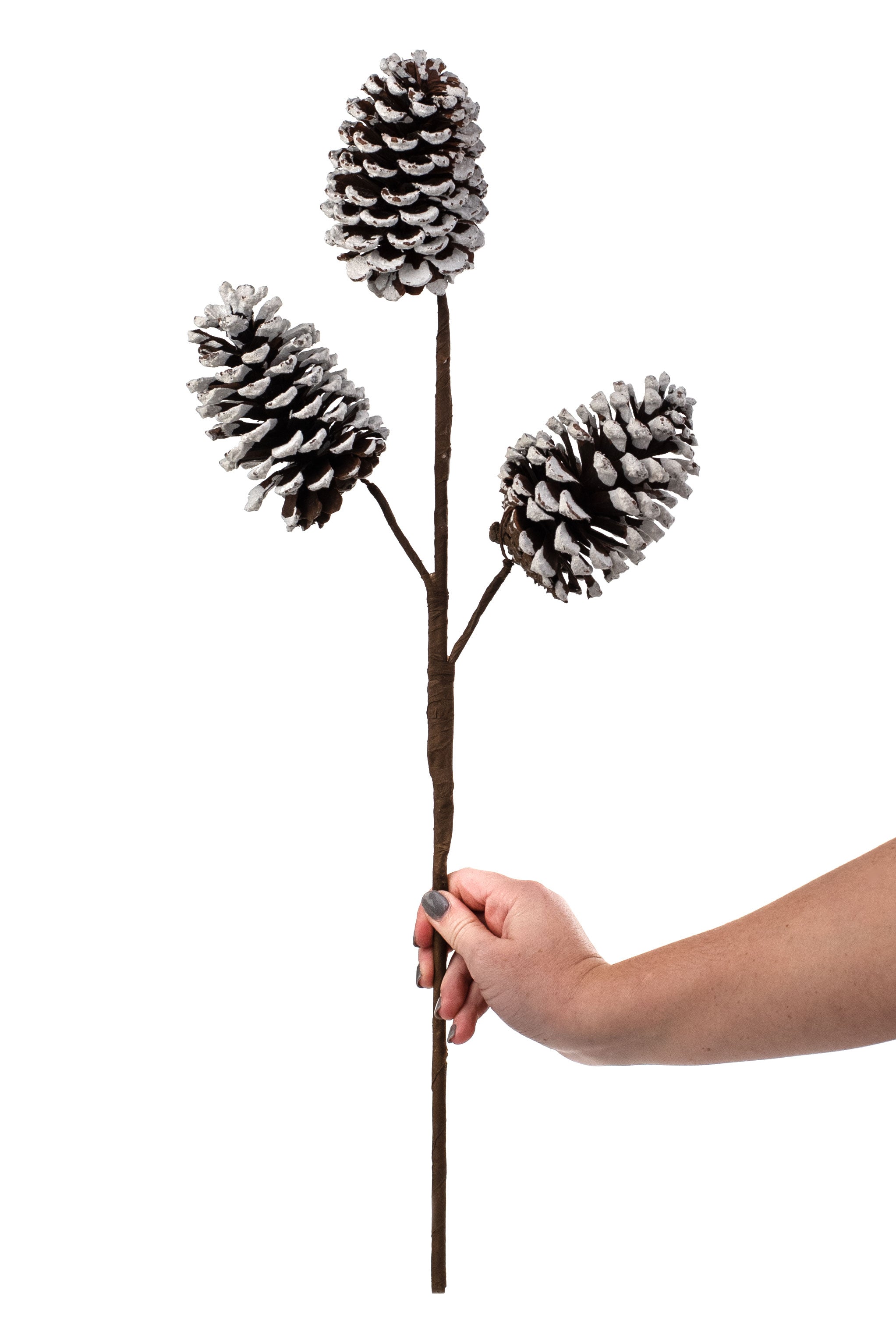 24" Snow Pinecone Spray detail photo 3