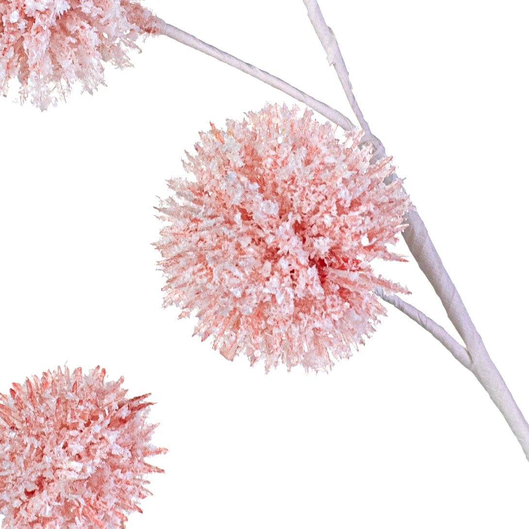 28" Snowball Allium Spray: Pink Lifestyle Photo