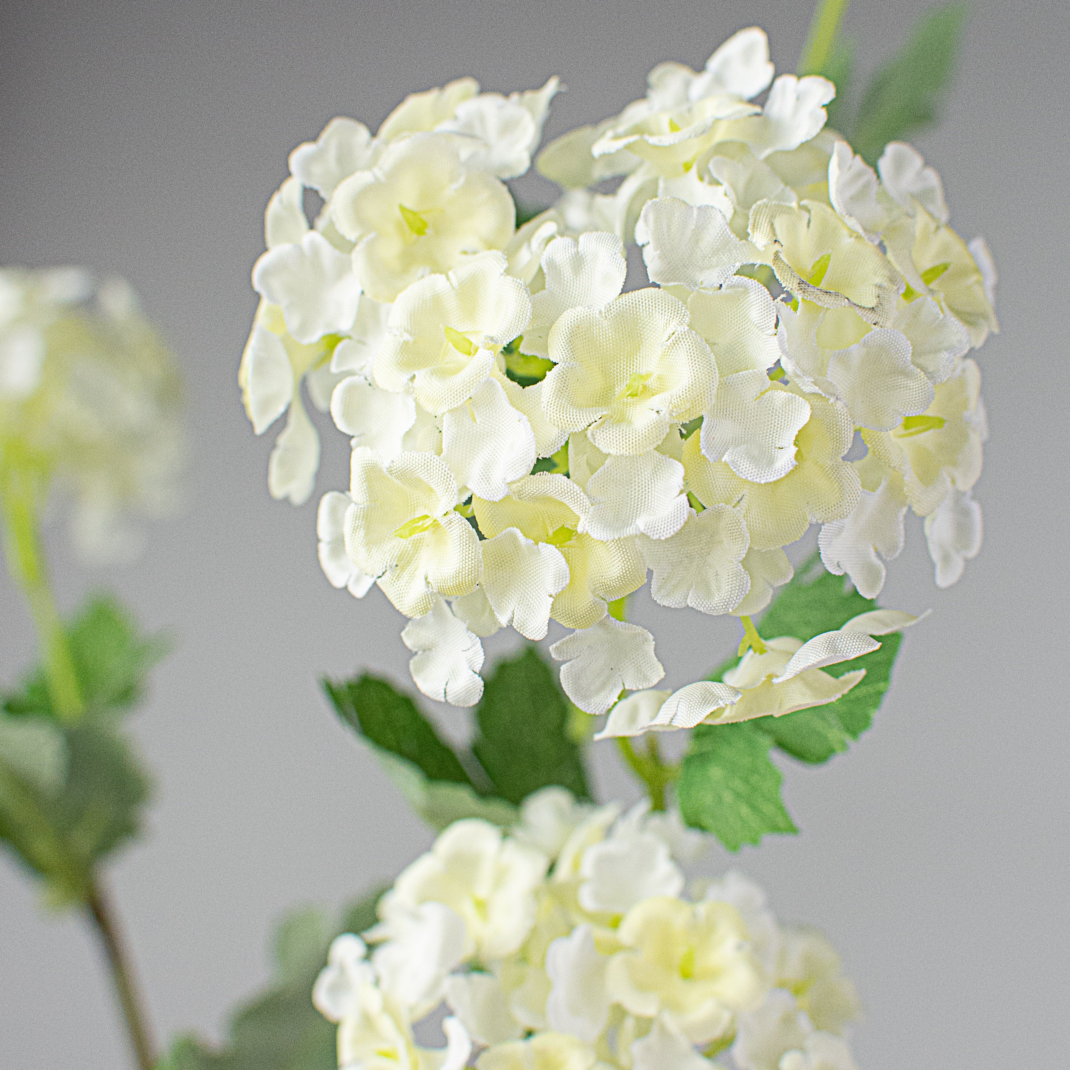 28" Snowball Hydrangea Spray: Cream Lifestyle Photo