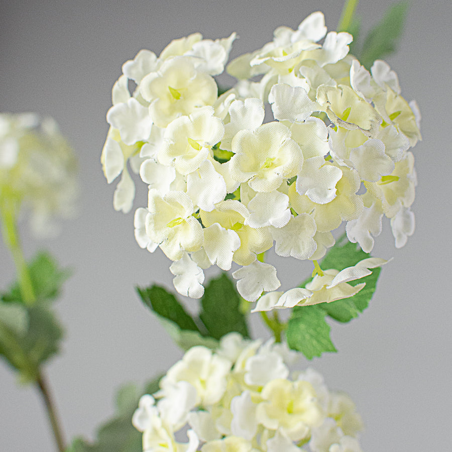 28" Snowball Hydrangea Spray: Cream Lifestyle Photo