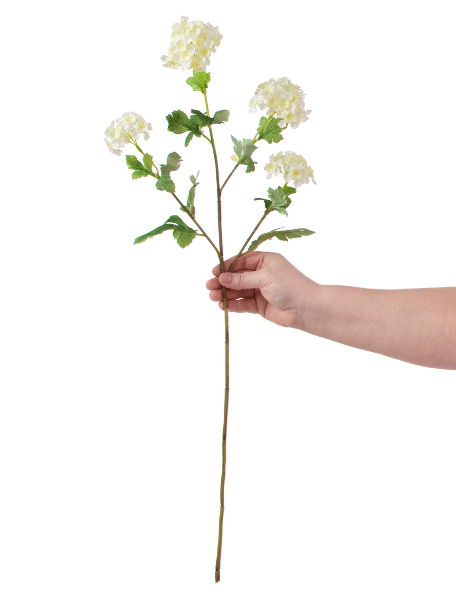 28" Snowball Hydrangea Spray: Cream detail photo 3