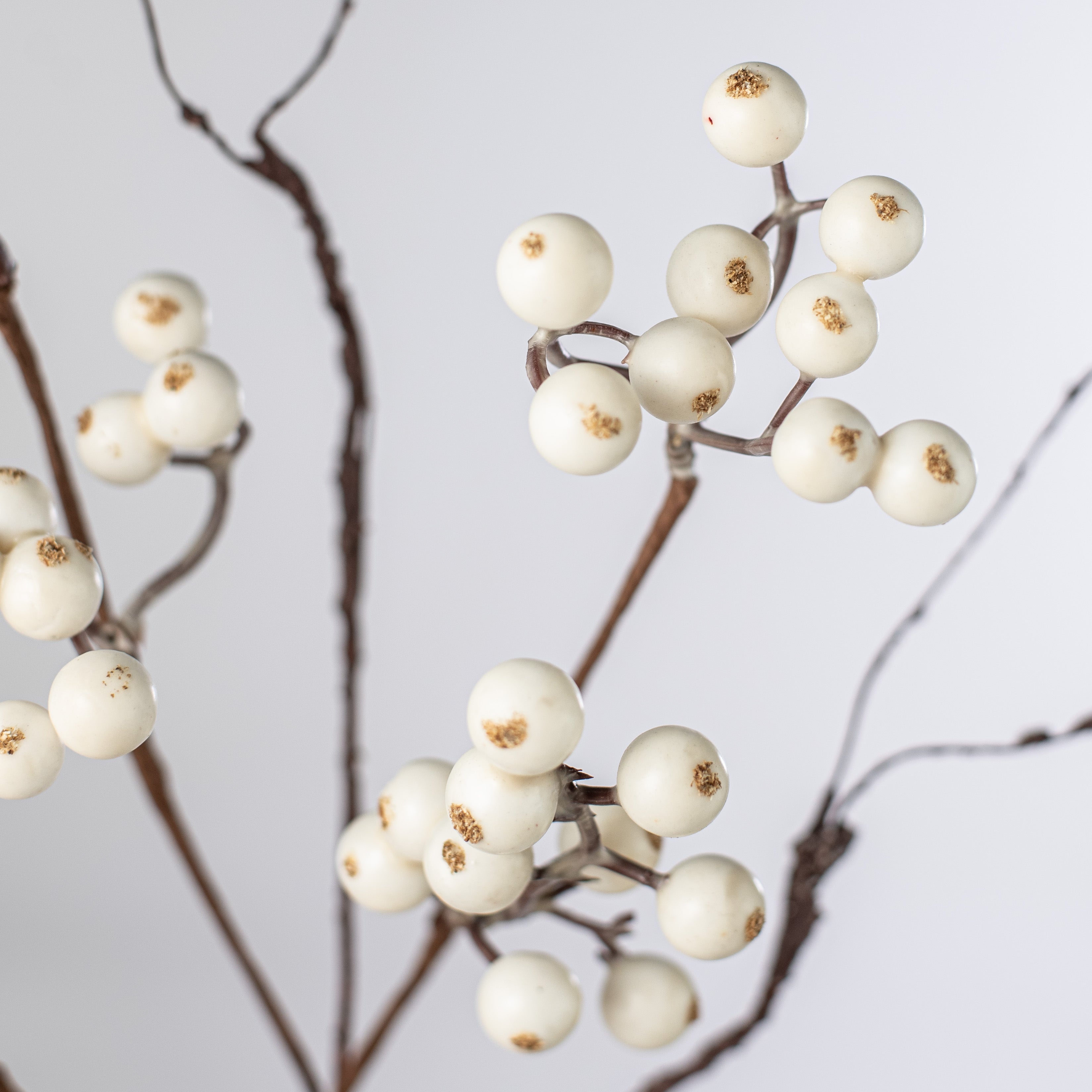 19" Snowberries Wispy Twig Spray: White Lifestyle Photo