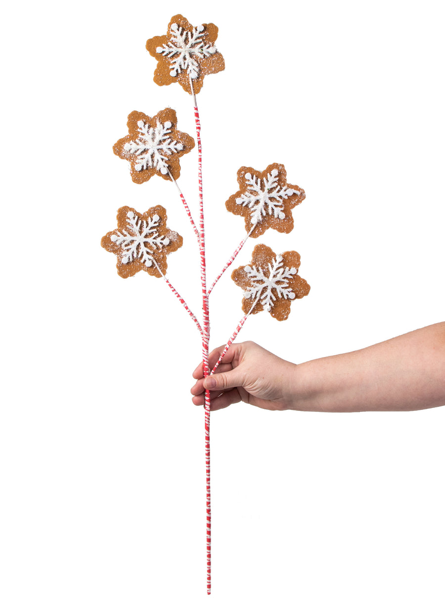 28" Snowflake Gingerbread Cookie Spray detail photo 3